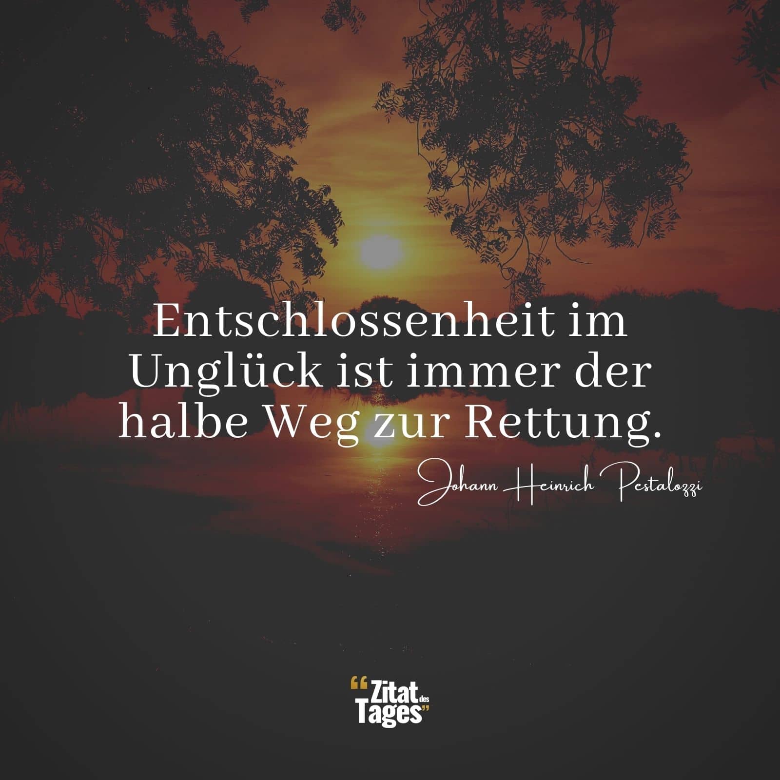 Entschlossenheit im Unglück ist immer der halbe Weg zur Rettung. - Johann Heinrich Pestalozzi