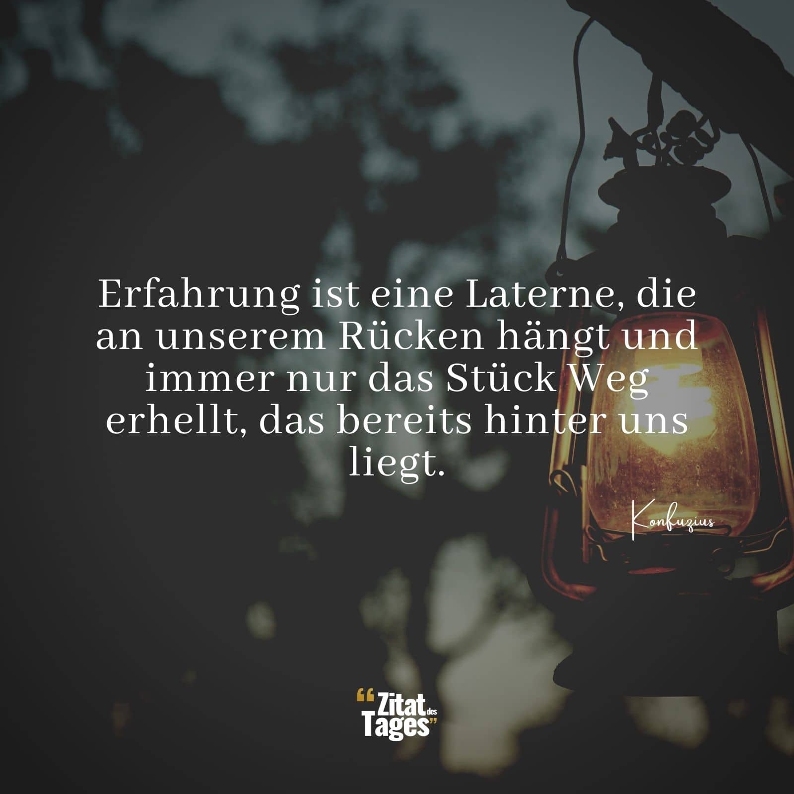 Erfahrung ist eine Laterne, die an unserem Rücken hängt und immer nur das Stück Weg erhellt, das bereits hinter uns liegt. - Konfuzius