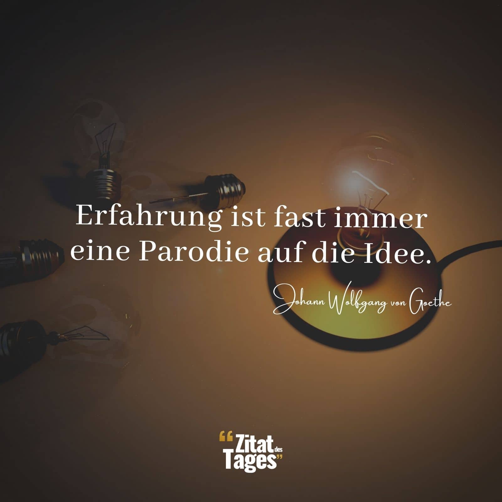 Erfahrung ist fast immer eine Parodie auf die Idee. - Johann Wolfgang von Goethe