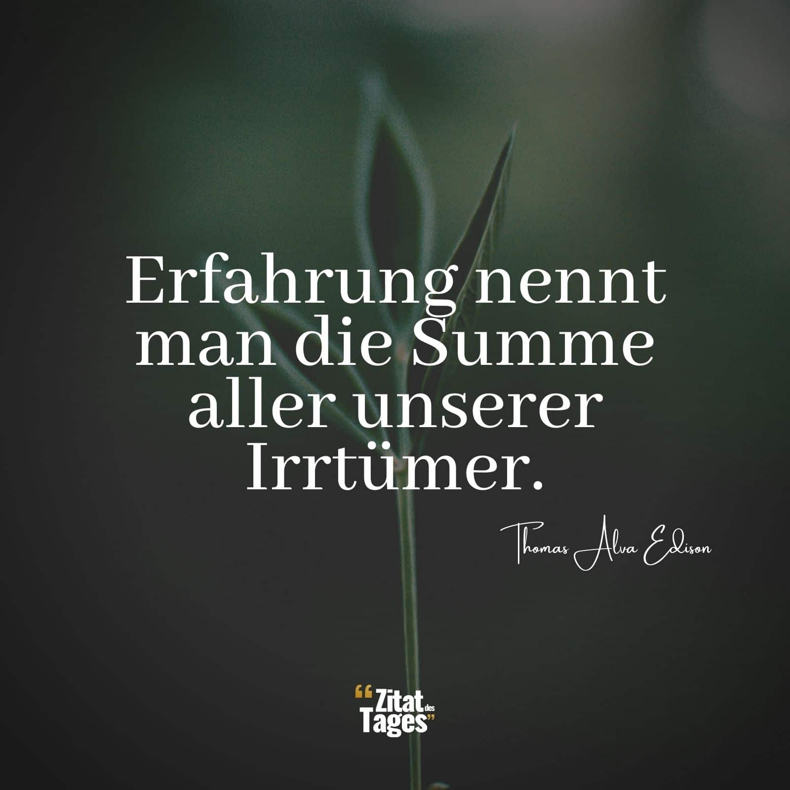 Erfahrung nennt man die Summe aller unserer Irrtümer. - Thomas Alva Edison