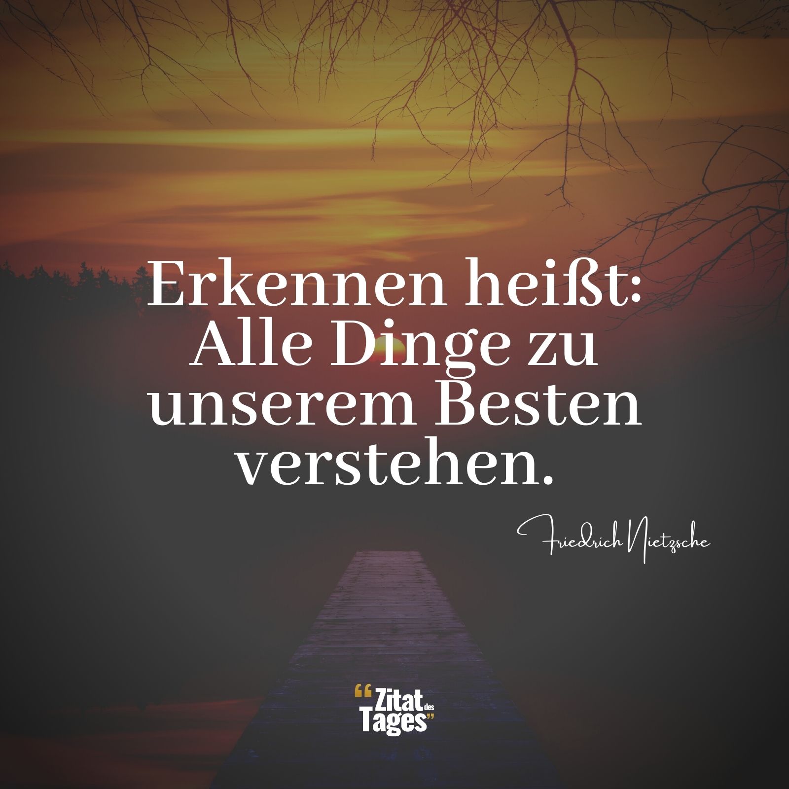 Erkennen heißt: Alle Dinge zu unserem Besten verstehen. - Friedrich Nietzsche