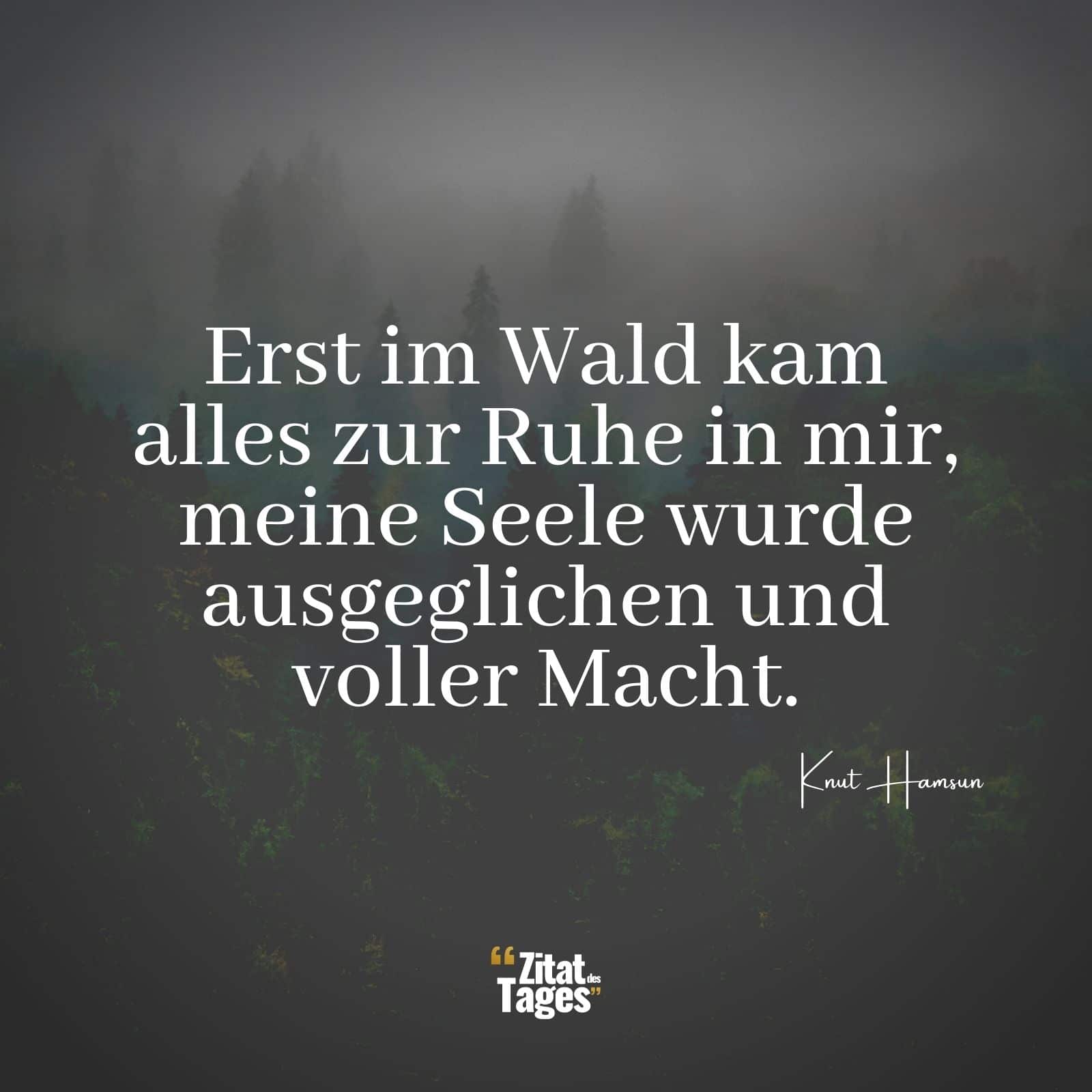 Erst im Wald kam alles zur Ruhe in mir, meine Seele wurde ausgeglichen und voller Macht. - Knut Hamsun