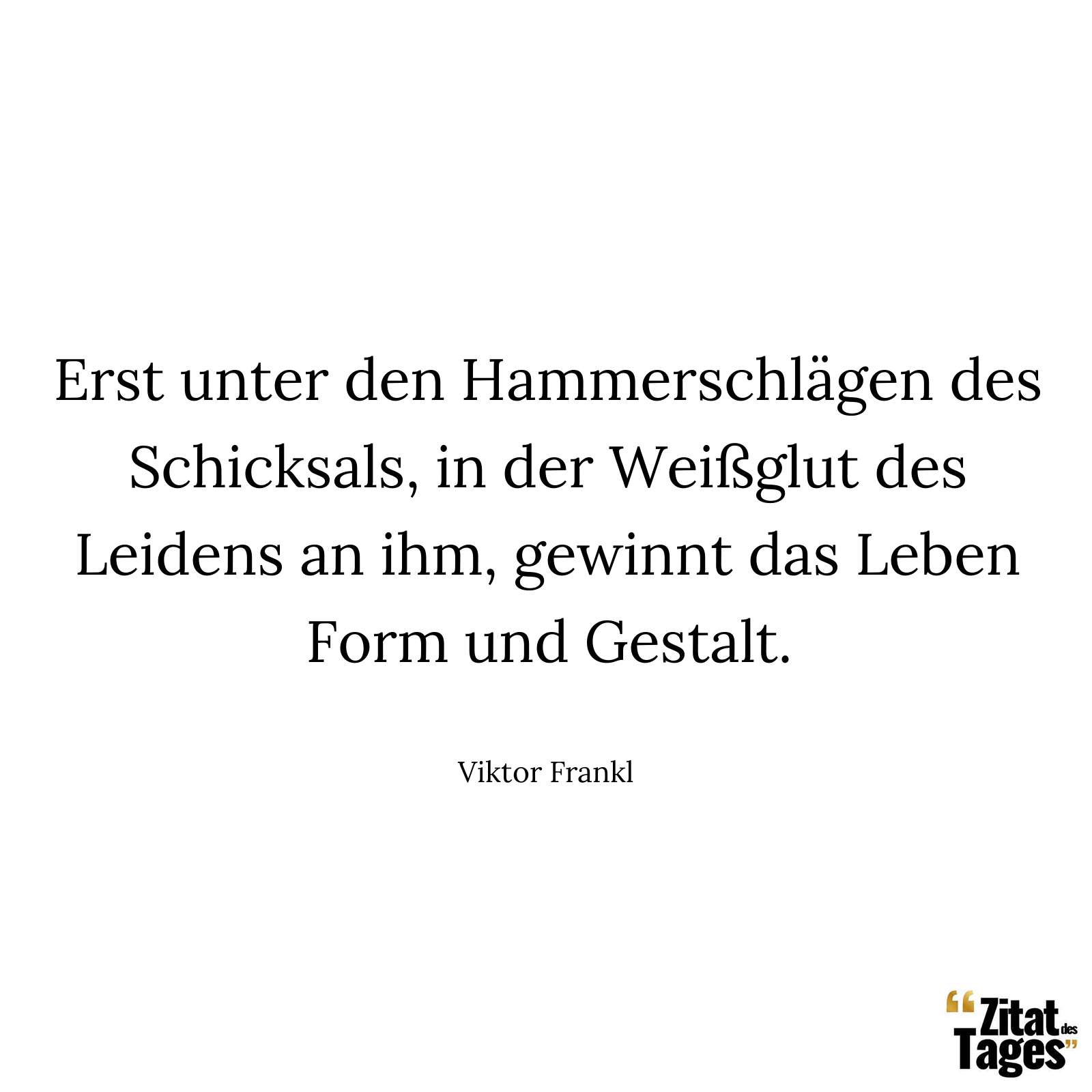 Erst unter den Hammerschlägen des Schicksals, in der Weißglut des Leidens an ihm, gewinnt das Leben Form und Gestalt. - Viktor Frankl