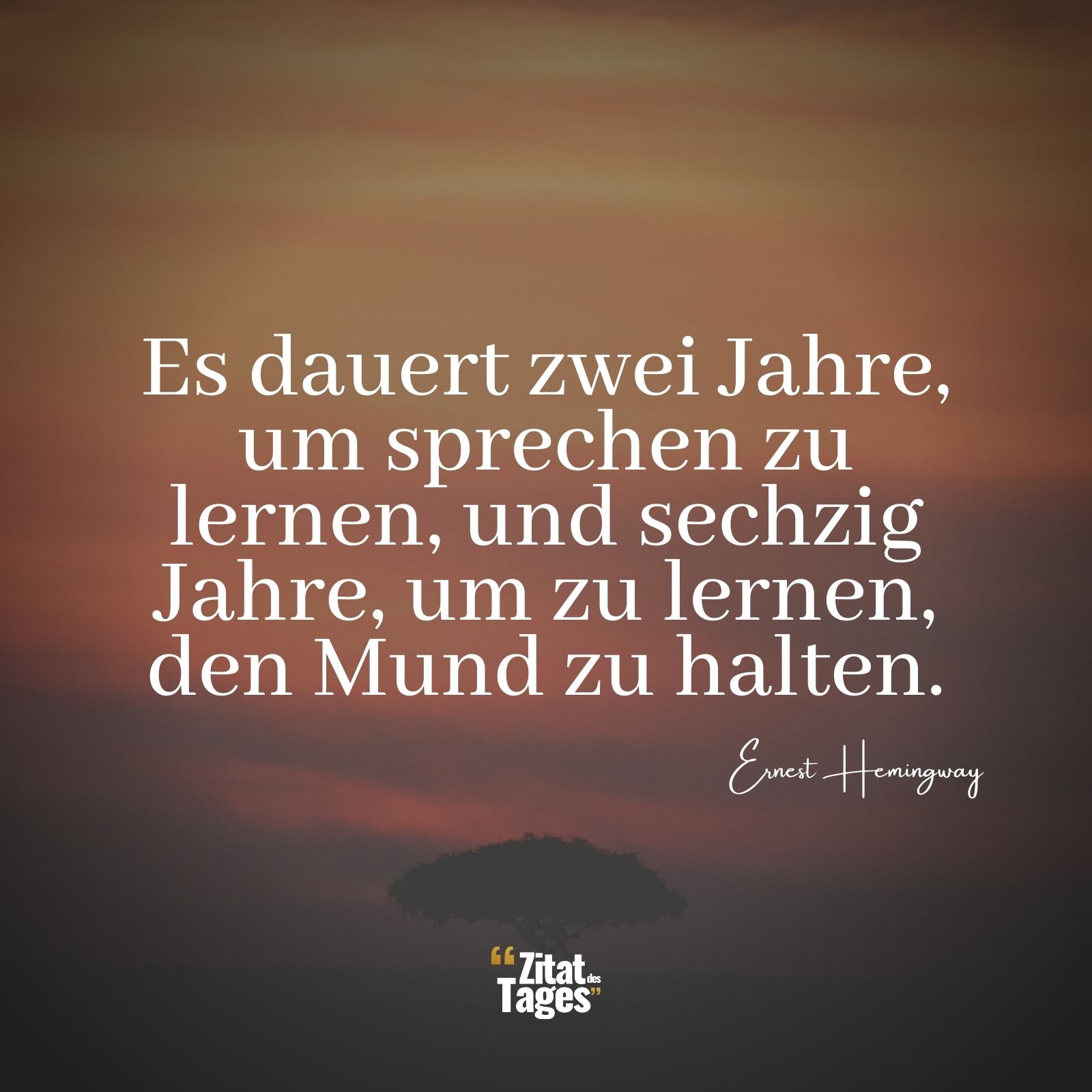 Es dauert zwei Jahre, um sprechen zu lernen, und sechzig Jahre, um zu lernen, den Mund zu halten. - Ernest Hemingway