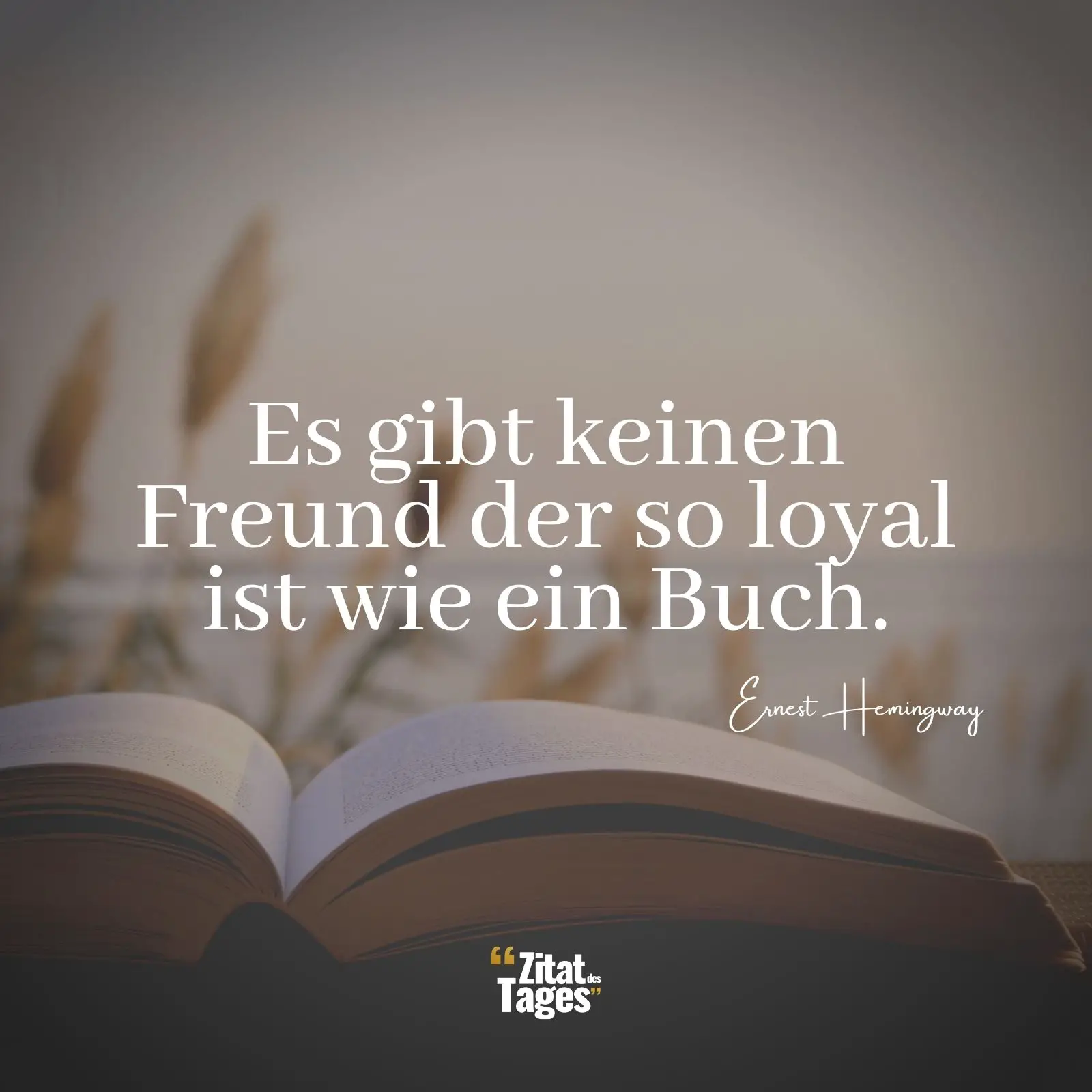 Es gibt keinen Freund der so loyal ist wie ein Buch. - Ernest Hemingway