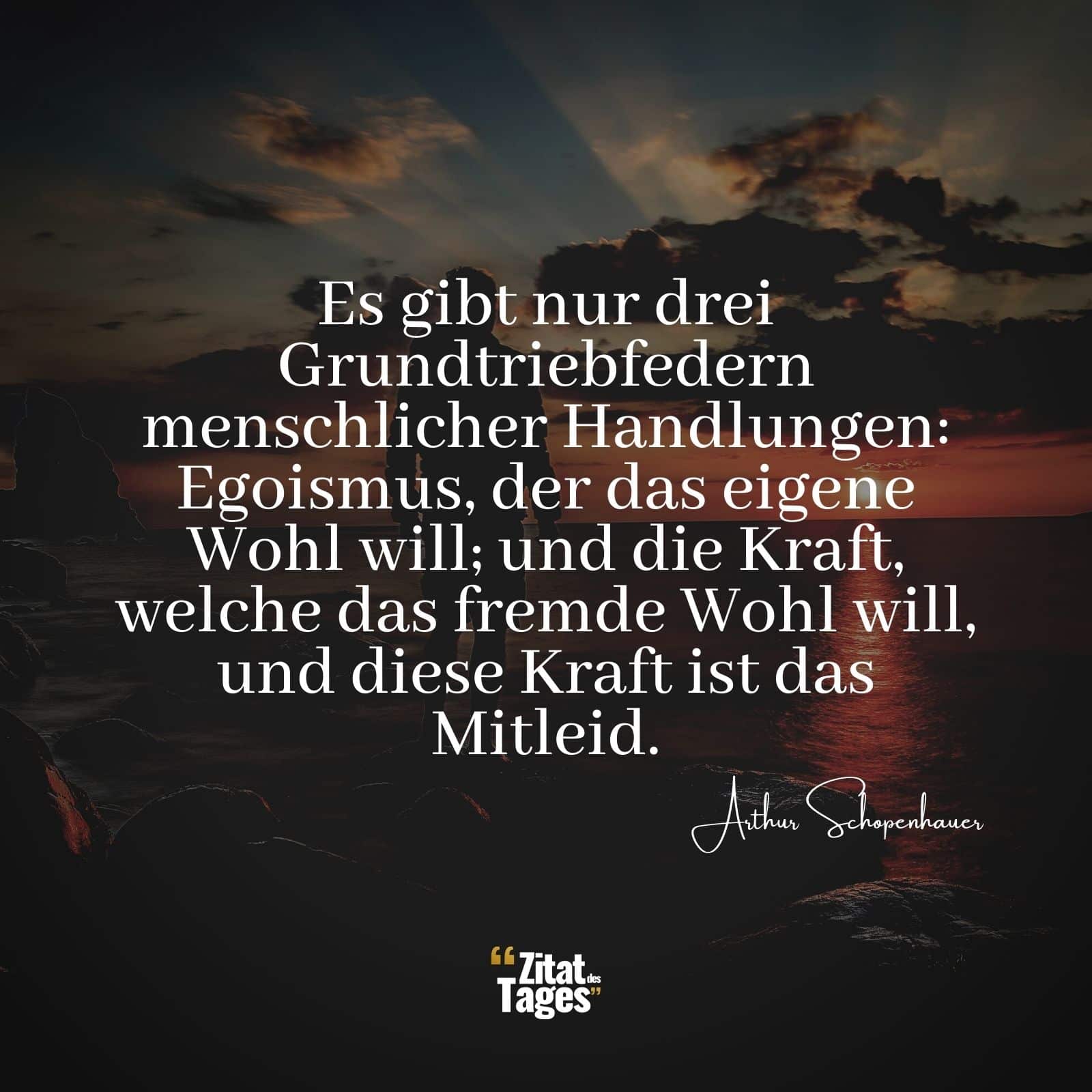 Es gibt nur drei Grundtriebfedern menschlicher Handlungen: Egoismus, der das eigene Wohl will; und die Kraft, welche das fremde Wohl will, und diese Kraft ist das Mitleid. - Arthur Schopenhauer