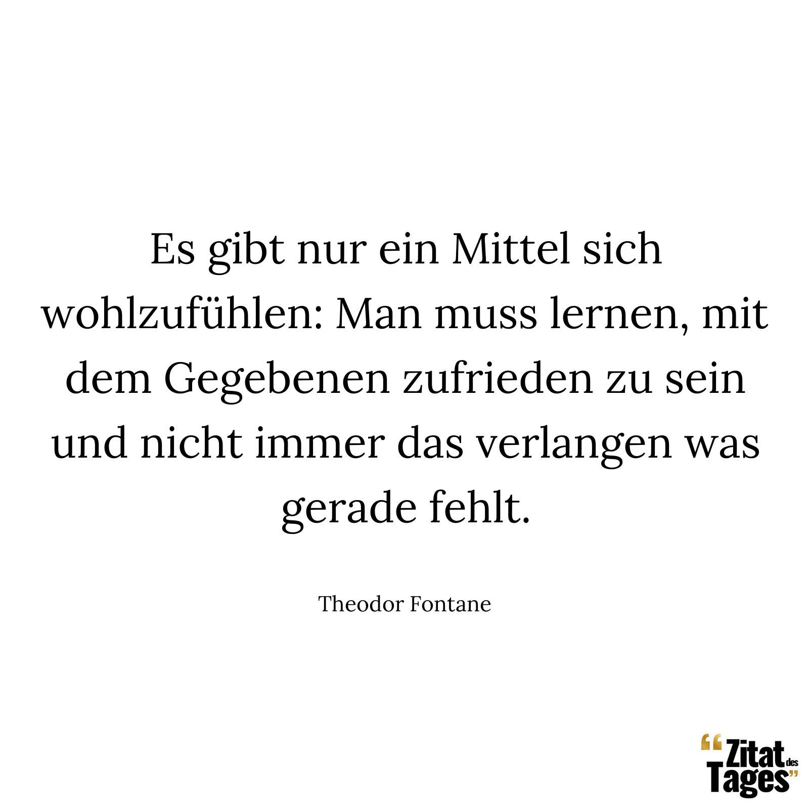 Es gibt nur ein Mittel sich wohlzufühlen: Man muss lernen, mit dem Gegebenen zufrieden zu sein und nicht immer das verlangen was gerade fehlt. - Theodor Fontane