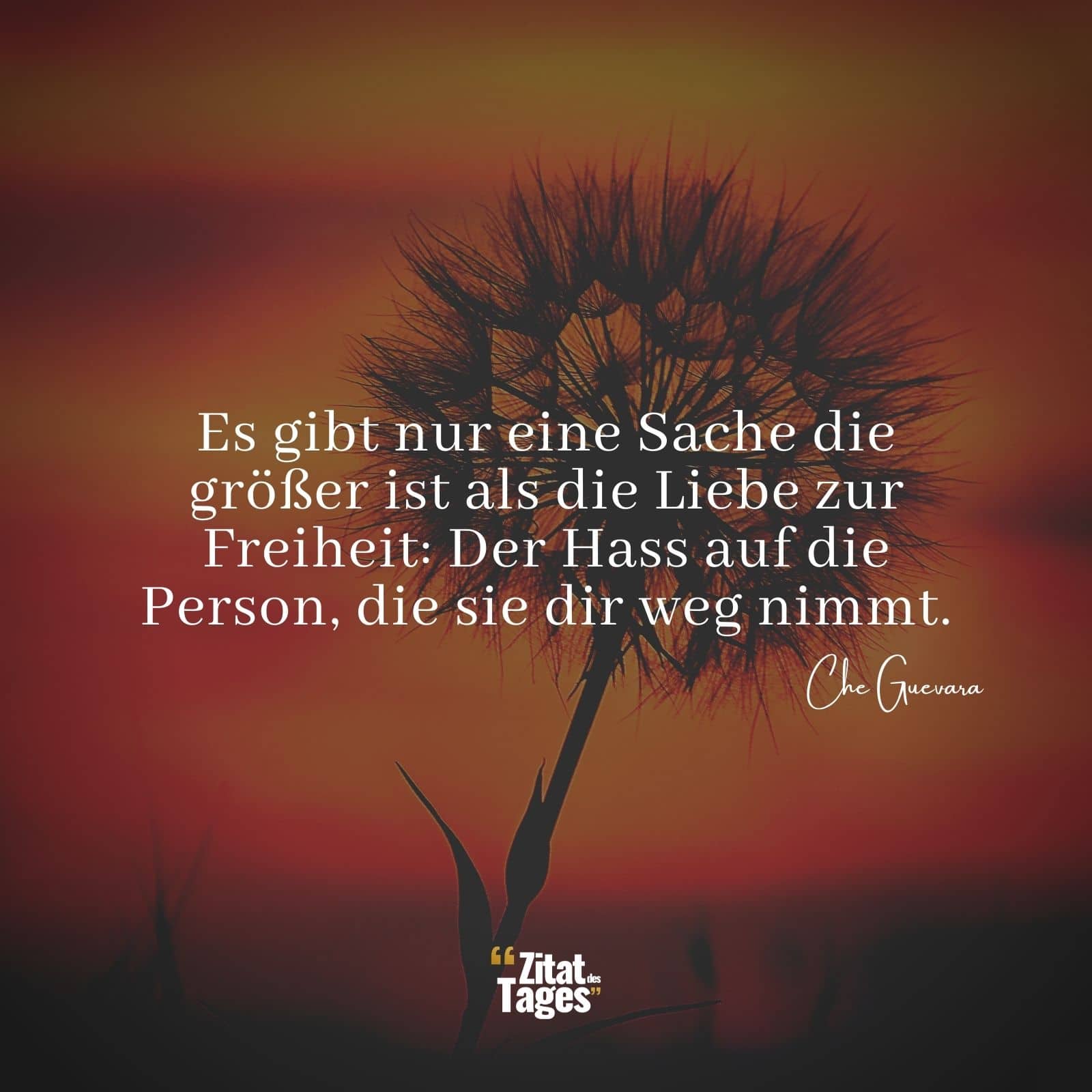 Es gibt nur eine Sache die größer ist als die Liebe zur Freiheit: Der Hass auf die Person, die sie dir weg nimmt. - Che Guevara