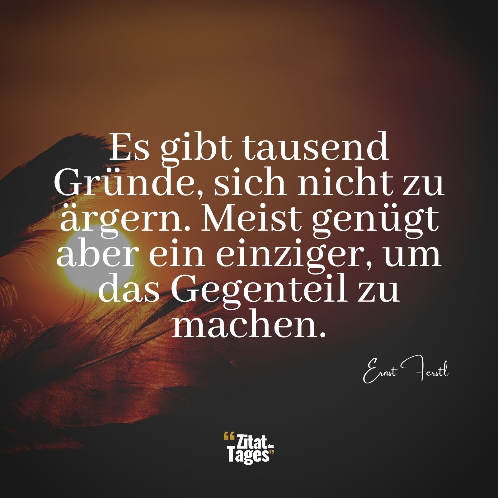 Es gibt tausend Gründe, sich nicht zu ärgern. Meist genügt aber ein einziger, um das Gegenteil zu machen. - Ernst Ferstl