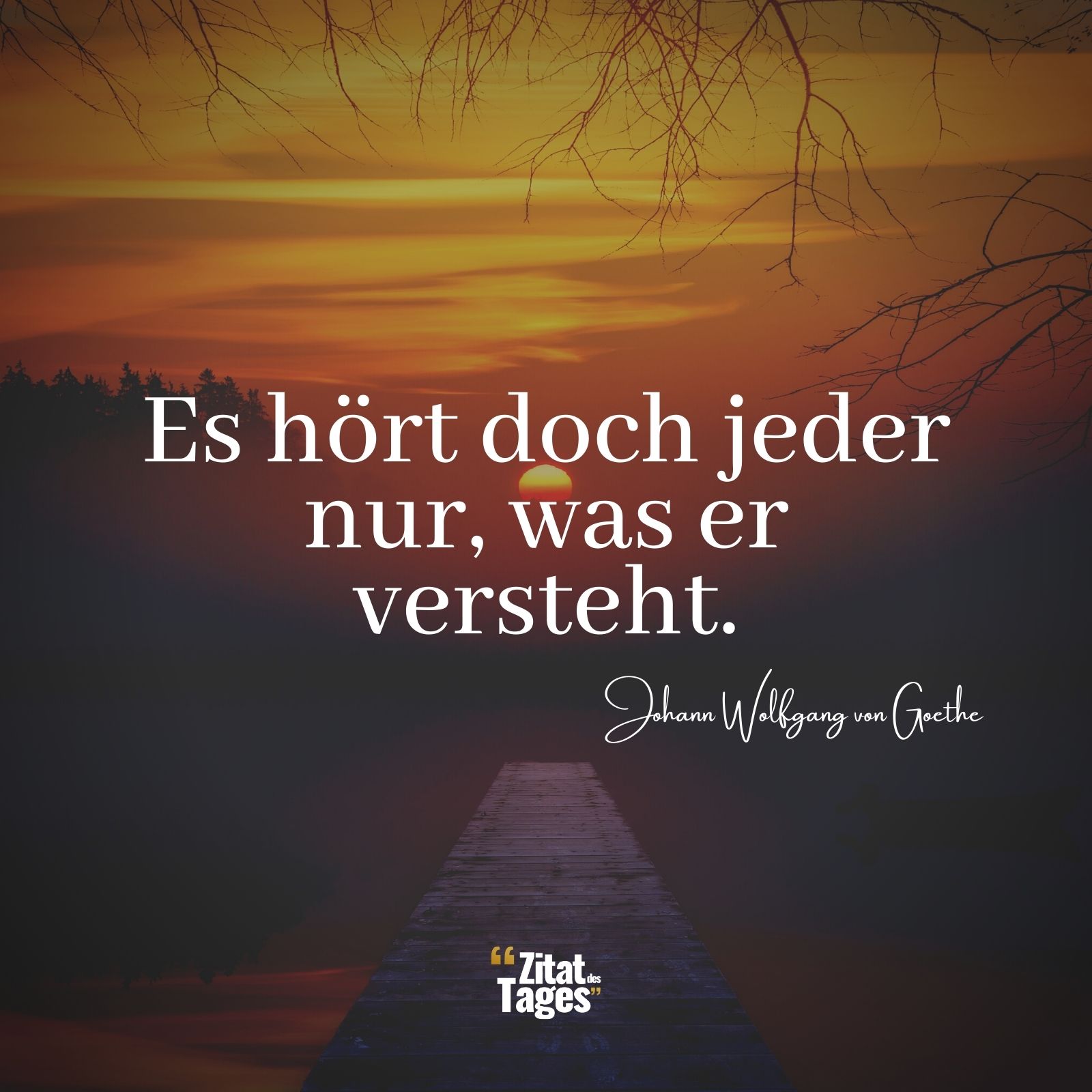 Es hört doch jeder nur, was er versteht. - Johann Wolfgang von Goethe