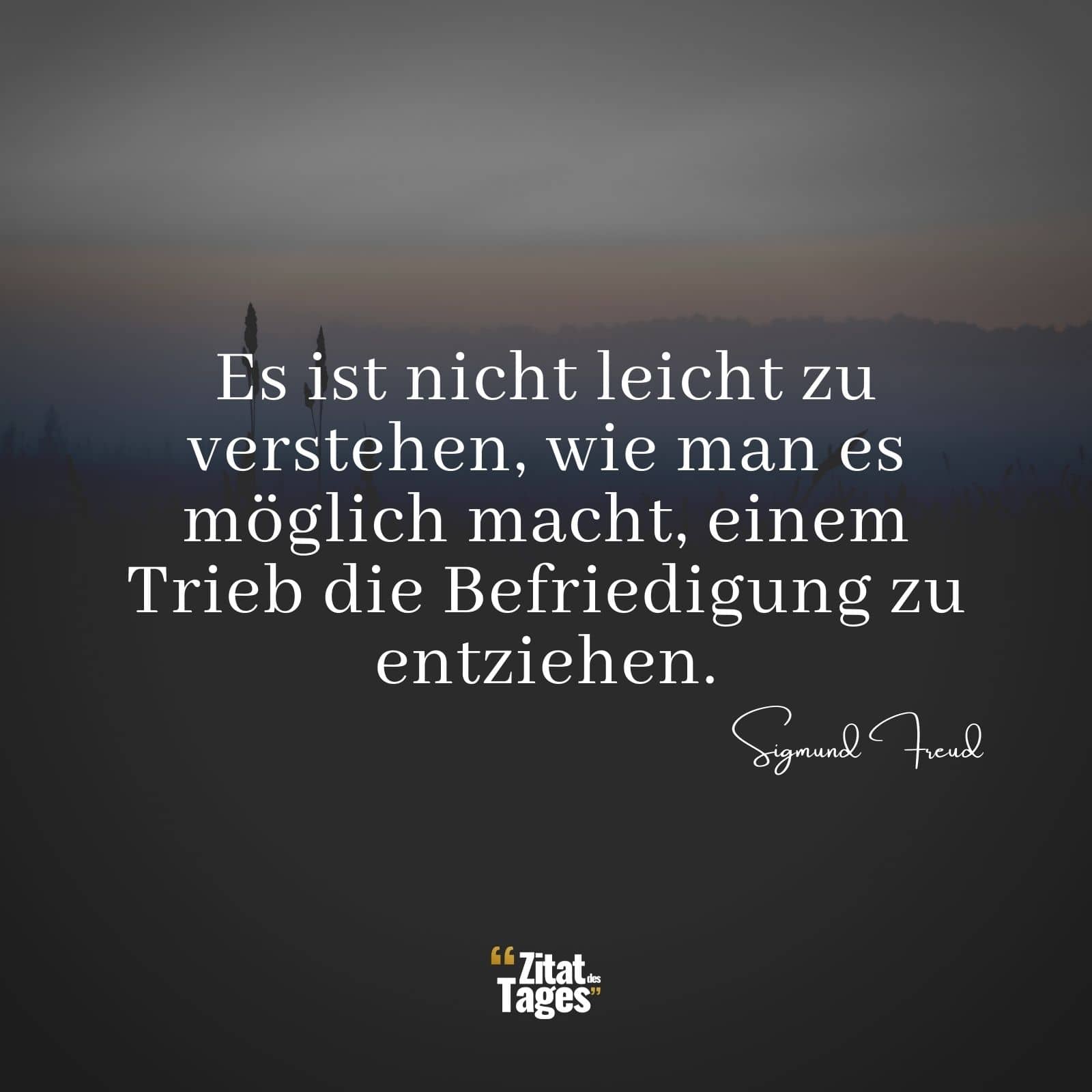 Es ist nicht leicht zu verstehen, wie man es möglich macht, einem Trieb die Befriedigung zu entziehen. - Sigmund Freud