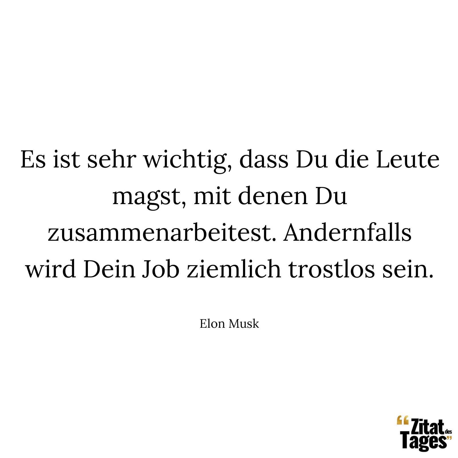 Es ist sehr wichtig, dass Du die Leute magst, mit denen Du zusammenarbeitest. Andernfalls wird Dein Job ziemlich trostlos sein. - Elon Musk