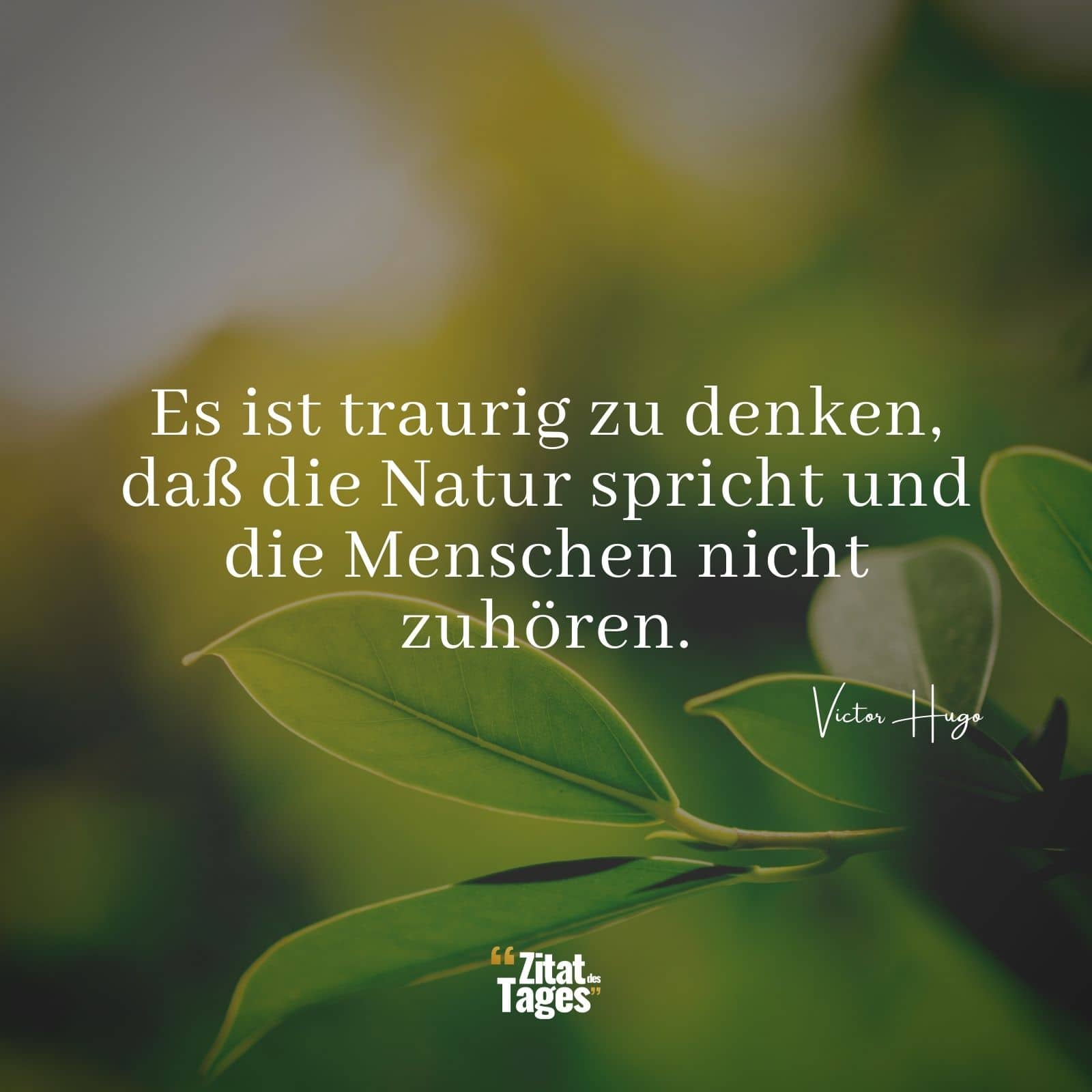 Es ist traurig zu denken, daß die Natur spricht und die Menschen nicht zuhören. - Victor Hugo