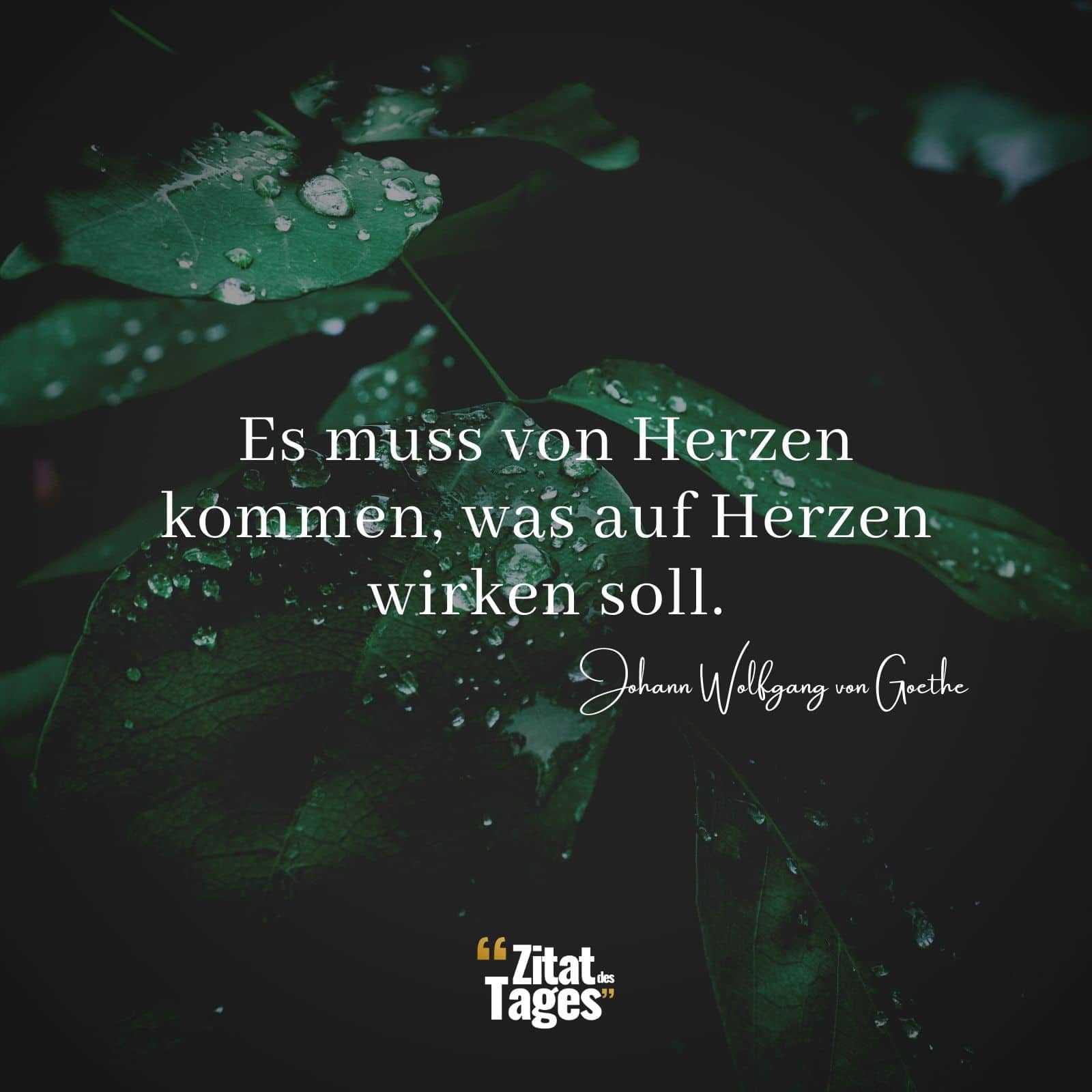 Es muss von Herzen kommen, was auf Herzen wirken soll. - Johann Wolfgang von Goethe