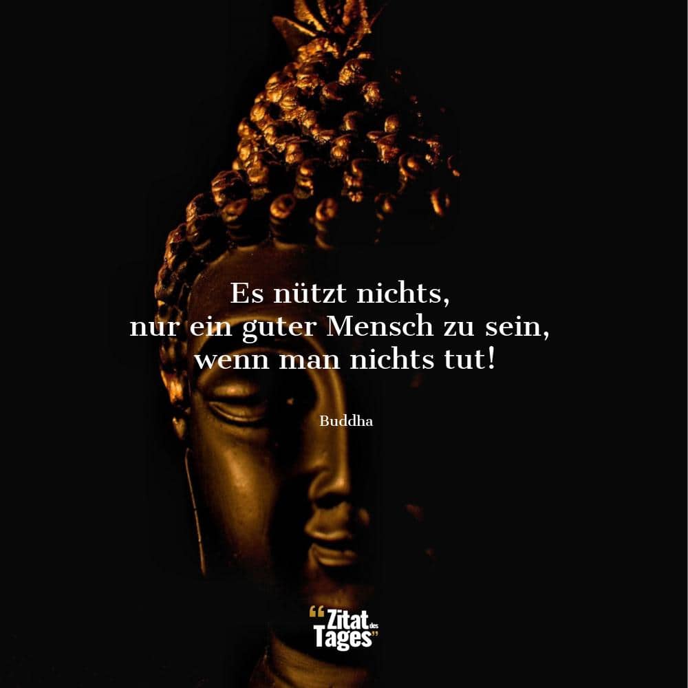 Es nützt nichts, nur ein guter Mensch zu sein, wenn man nichts tut! - Buddha