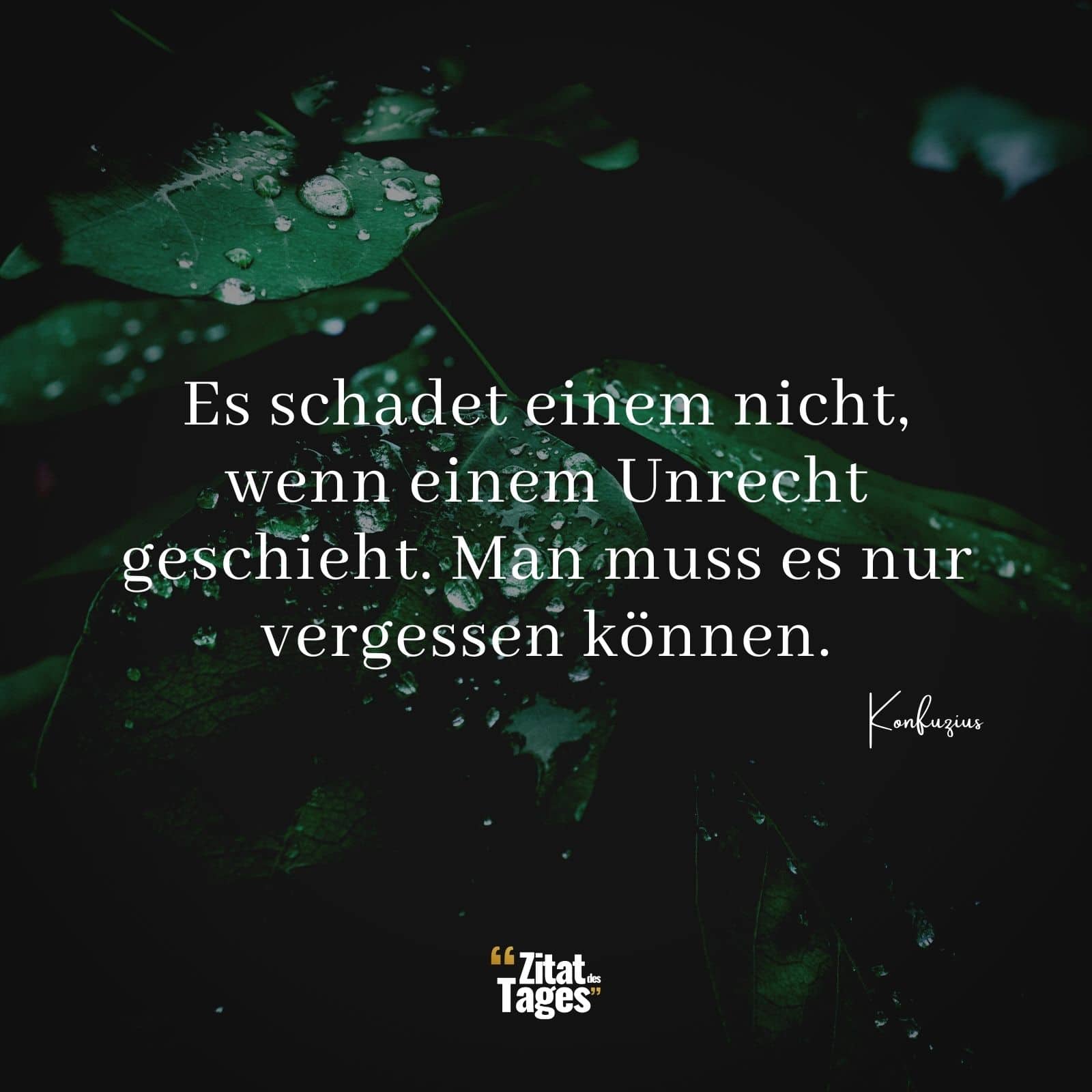 Es schadet einem nicht, wenn einem Unrecht geschieht. Man muss es nur vergessen können. - Konfuzius