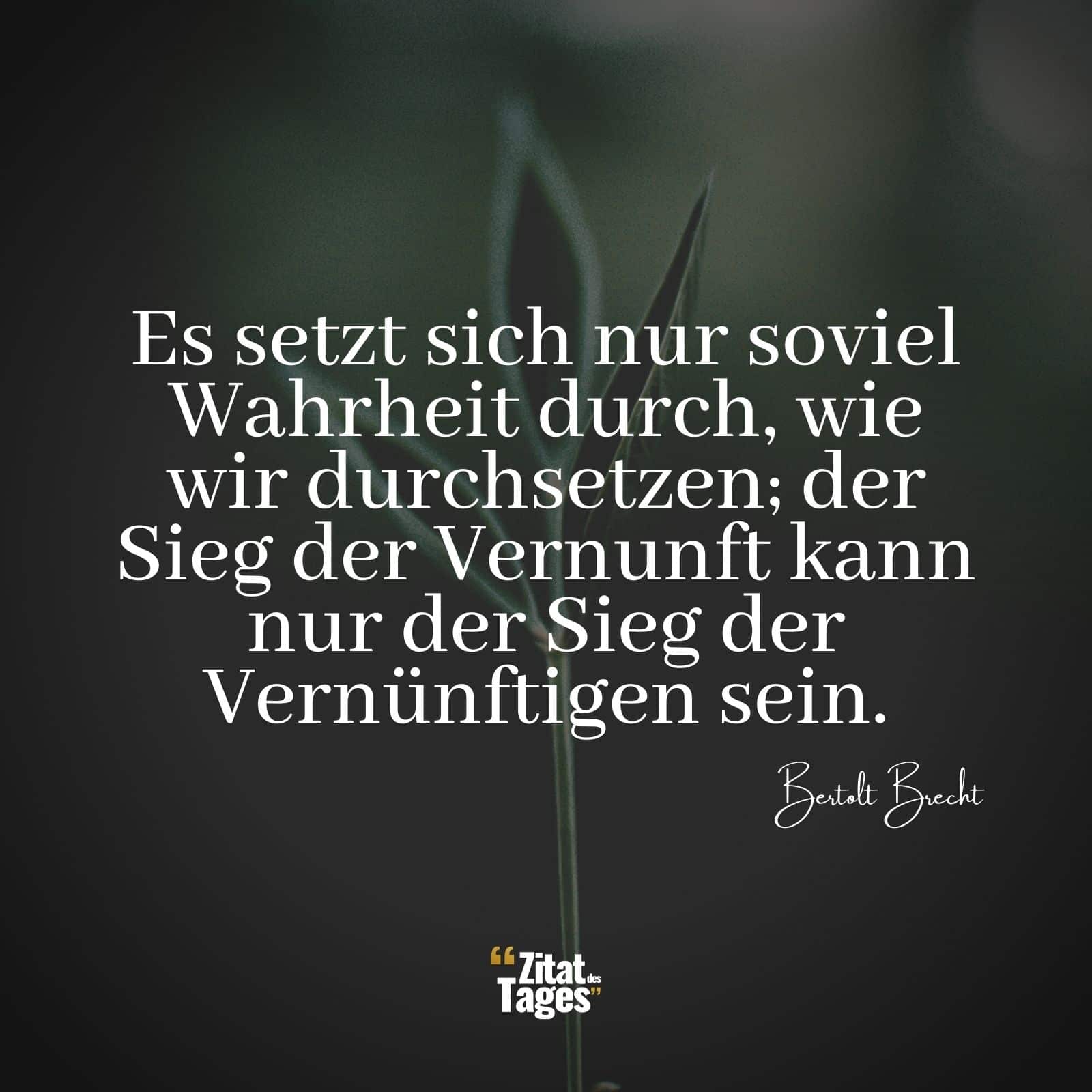 Es setzt sich nur soviel Wahrheit durch, wie wir durchsetzen; der Sieg der Vernunft kann nur der Sieg der Vernünftigen sein. - Bertolt Brecht