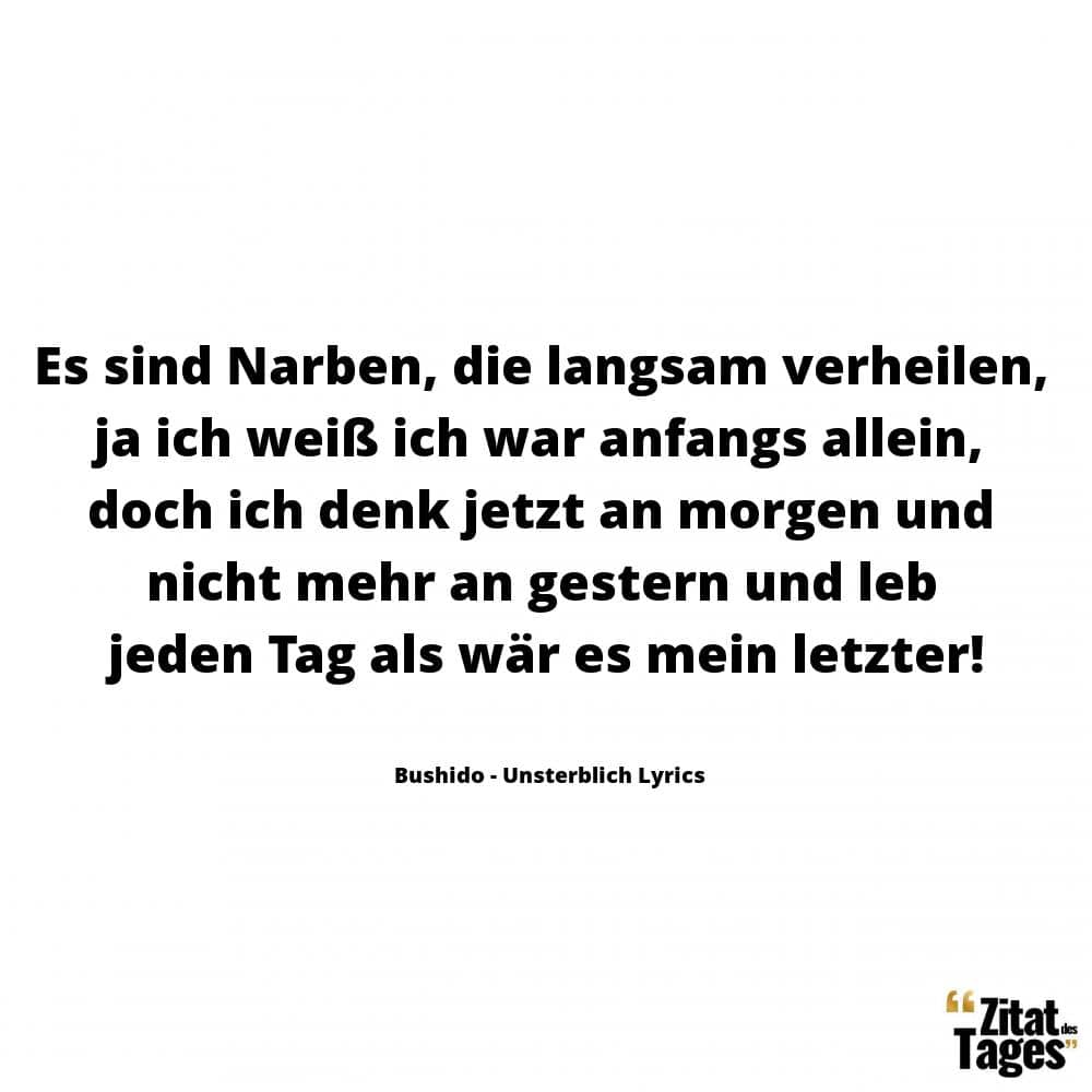 Es sind Narben, die langsam verheilen, ja ich weiß ich war anfangs allein, doch ich denk jetzt an morgen und nicht mehr an gestern und leb jeden Tag als wär es mein letzter! - Bushido