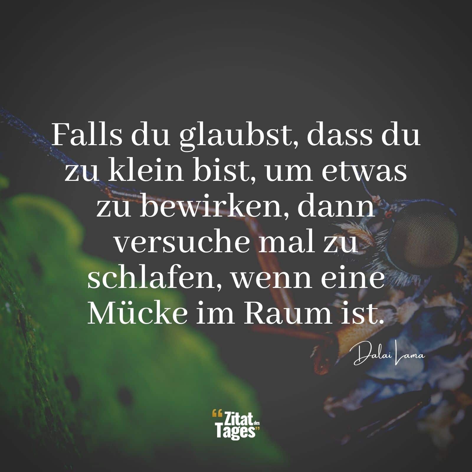 Falls du glaubst, dass du zu klein bist, um etwas zu bewirken, dann versuche mal zu schlafen, wenn eine Mücke im Raum ist. - Dalai Lama