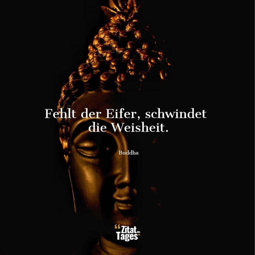 Fehlt der Eifer, schwindet die Weisheit. - Buddha