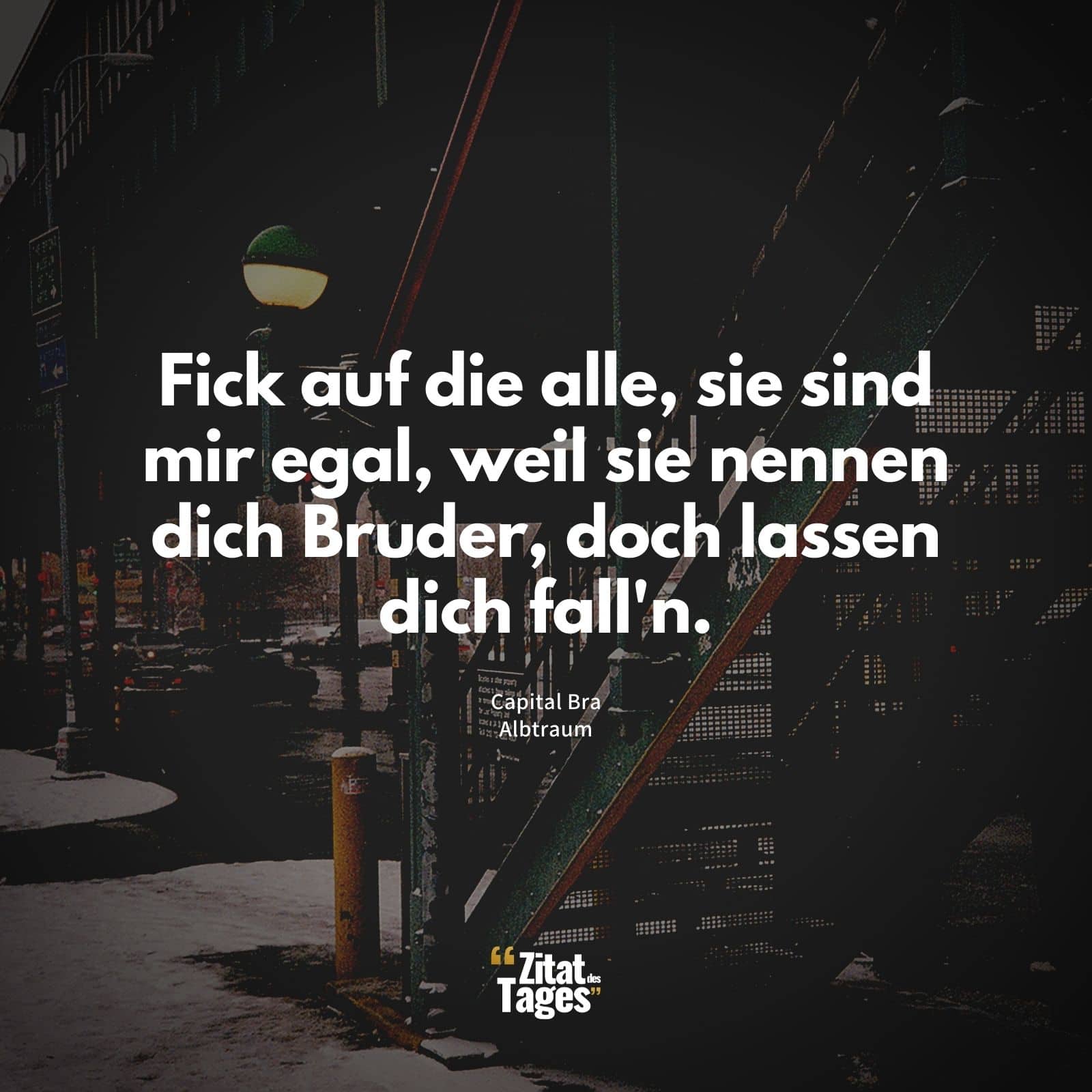 Fick auf die alle, sie sind mir egal, weil sie nennen dich Bruder, doch lassen dich fall'n. - Capital Bra