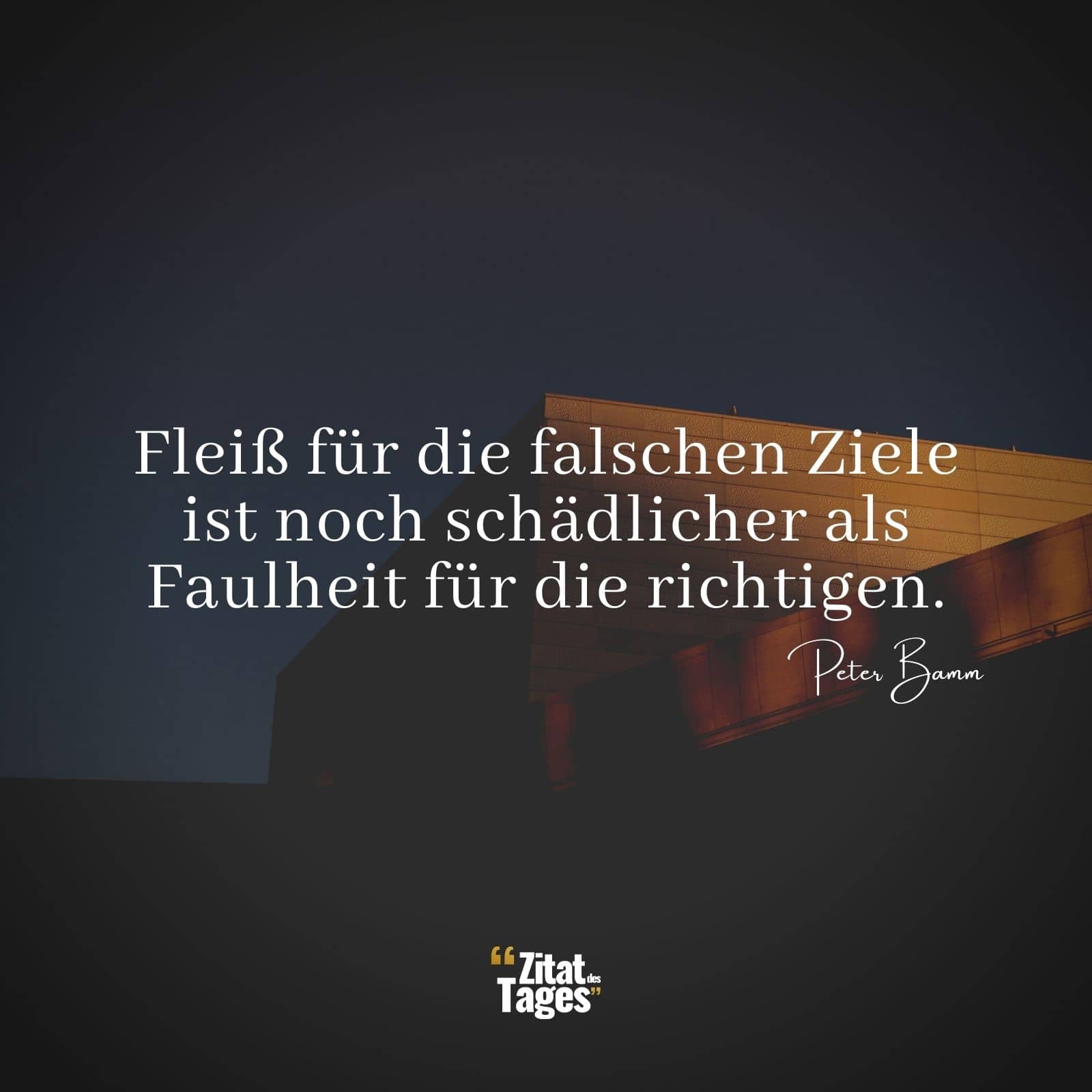 Fleiß für die falschen Ziele ist noch schädlicher als Faulheit für die richtigen. - Peter Bamm