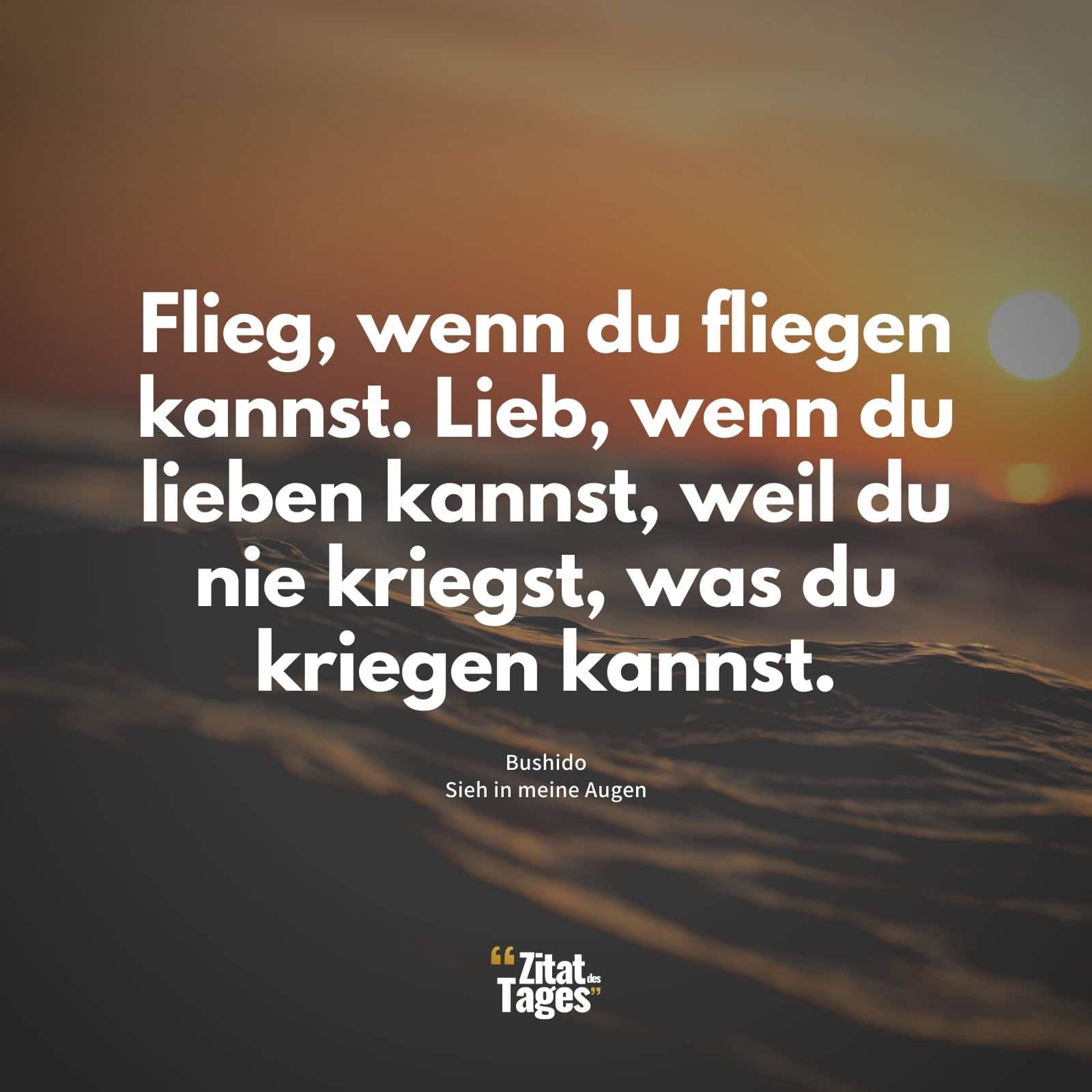 Flieg, wenn du fliegen kannst. Lieb, wenn du lieben kannst, weil du nie kriegst, was du kriegen kannst. - Bushido