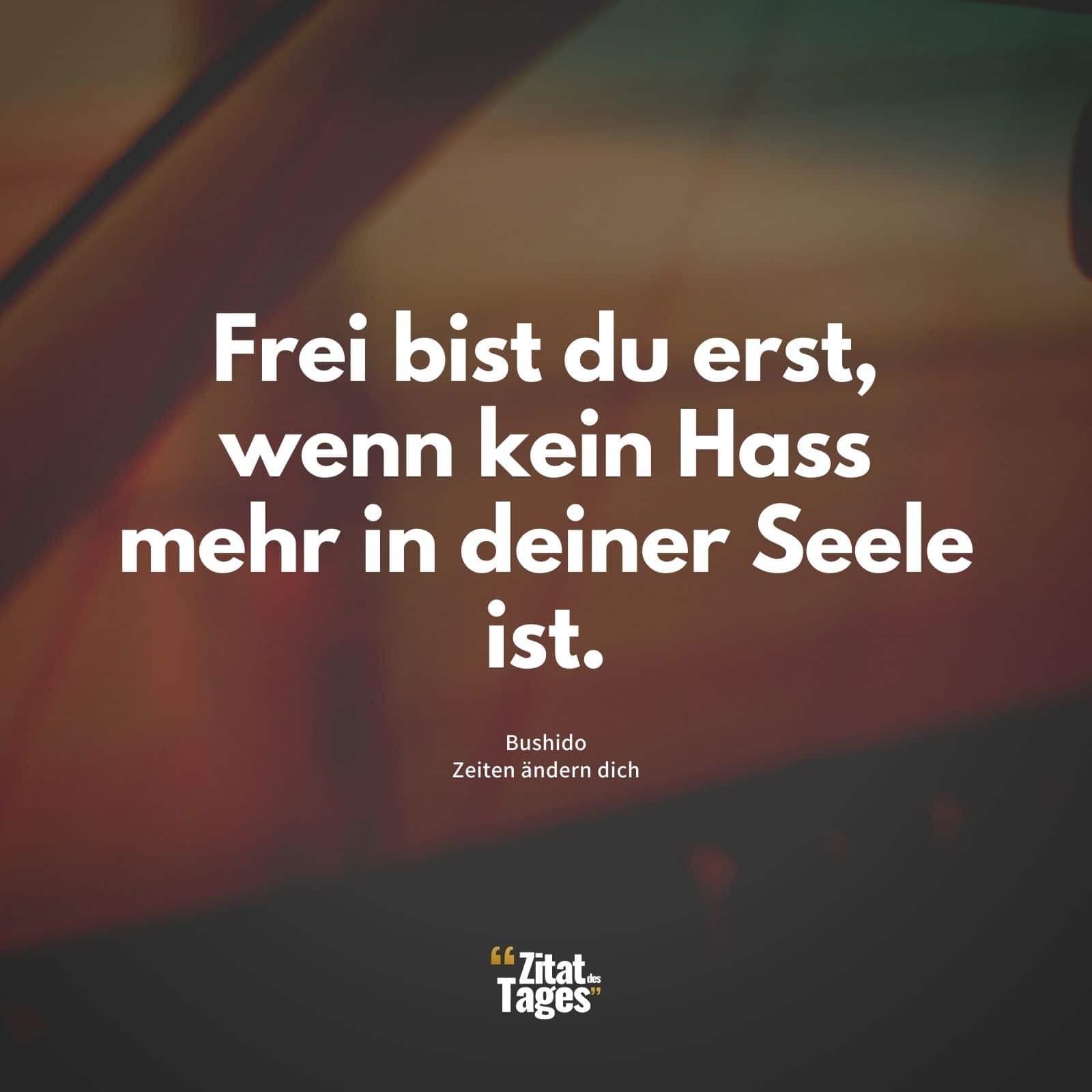 Frei bist du erst, wenn kein Hass mehr in deiner Seele ist. - Bushido