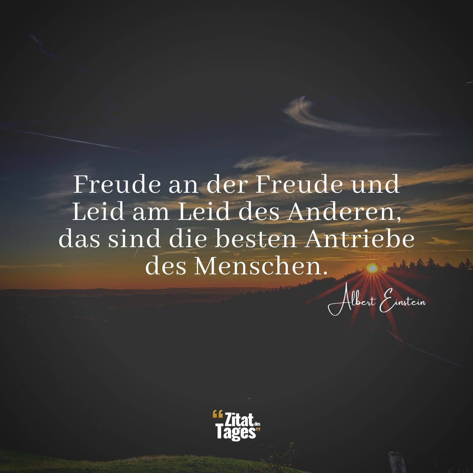 Freude an der Freude und Leid am Leid des Anderen, das sind die besten Antriebe des Menschen. - Albert Einstein