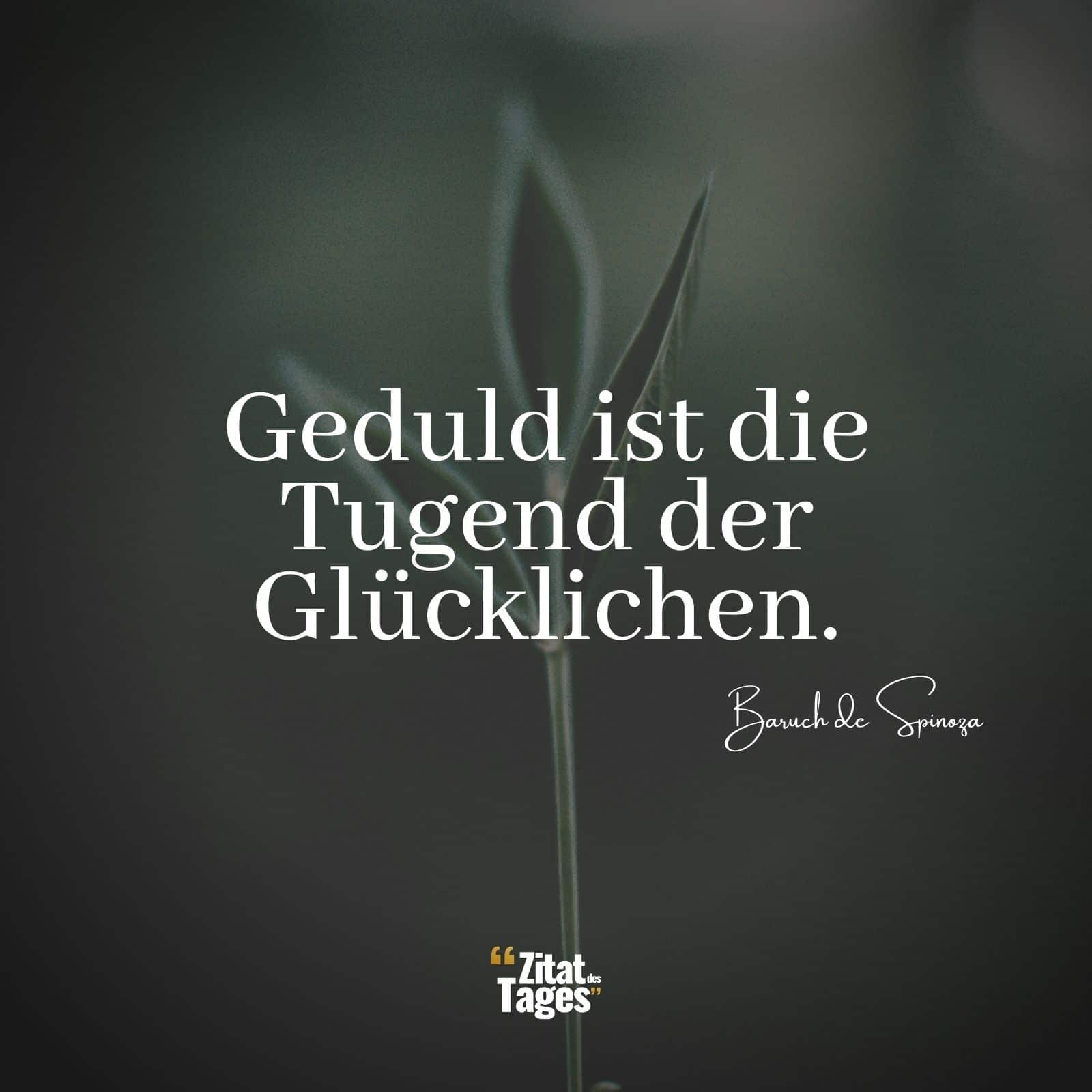 Geduld ist die Tugend der Glücklichen. - Baruch de Spinoza