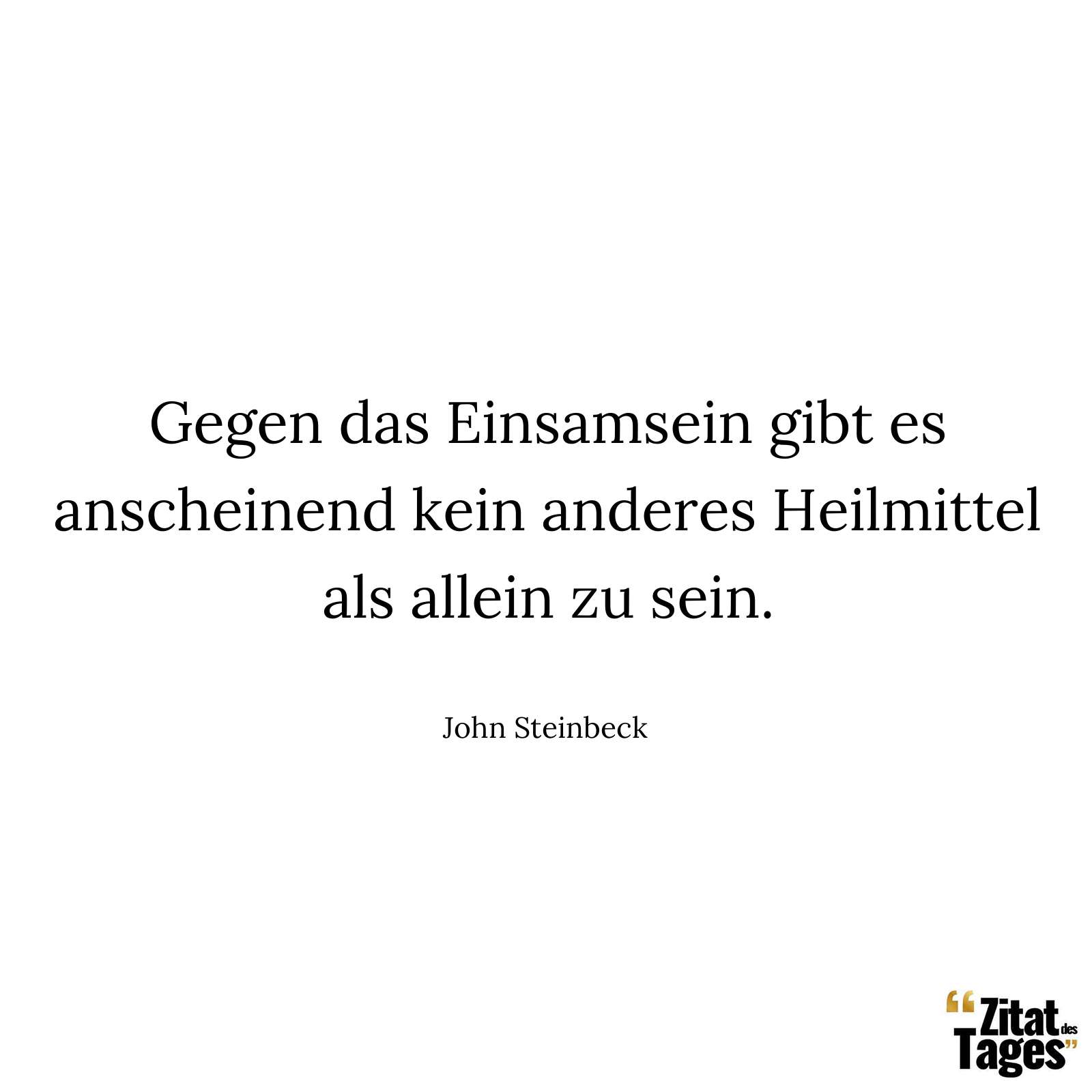 Gegen das Einsamsein gibt es anscheinend kein anderes Heilmittel als allein zu sein. - John Steinbeck