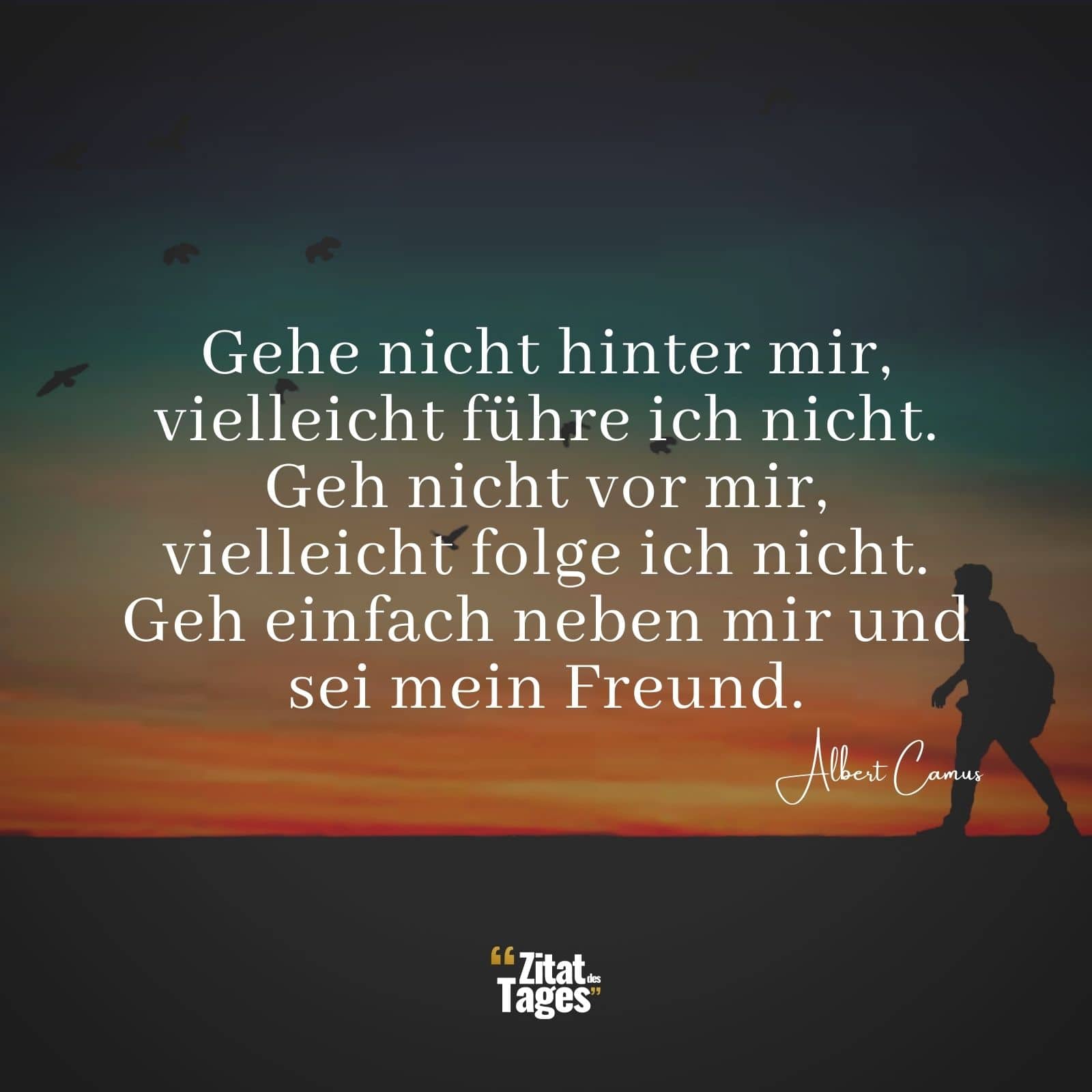 Gehe nicht hinter mir, vielleicht führe ich nicht. Geh nicht vor mir, vielleicht folge ich nicht. Geh einfach neben mir und sei mein Freund. - Albert Camus