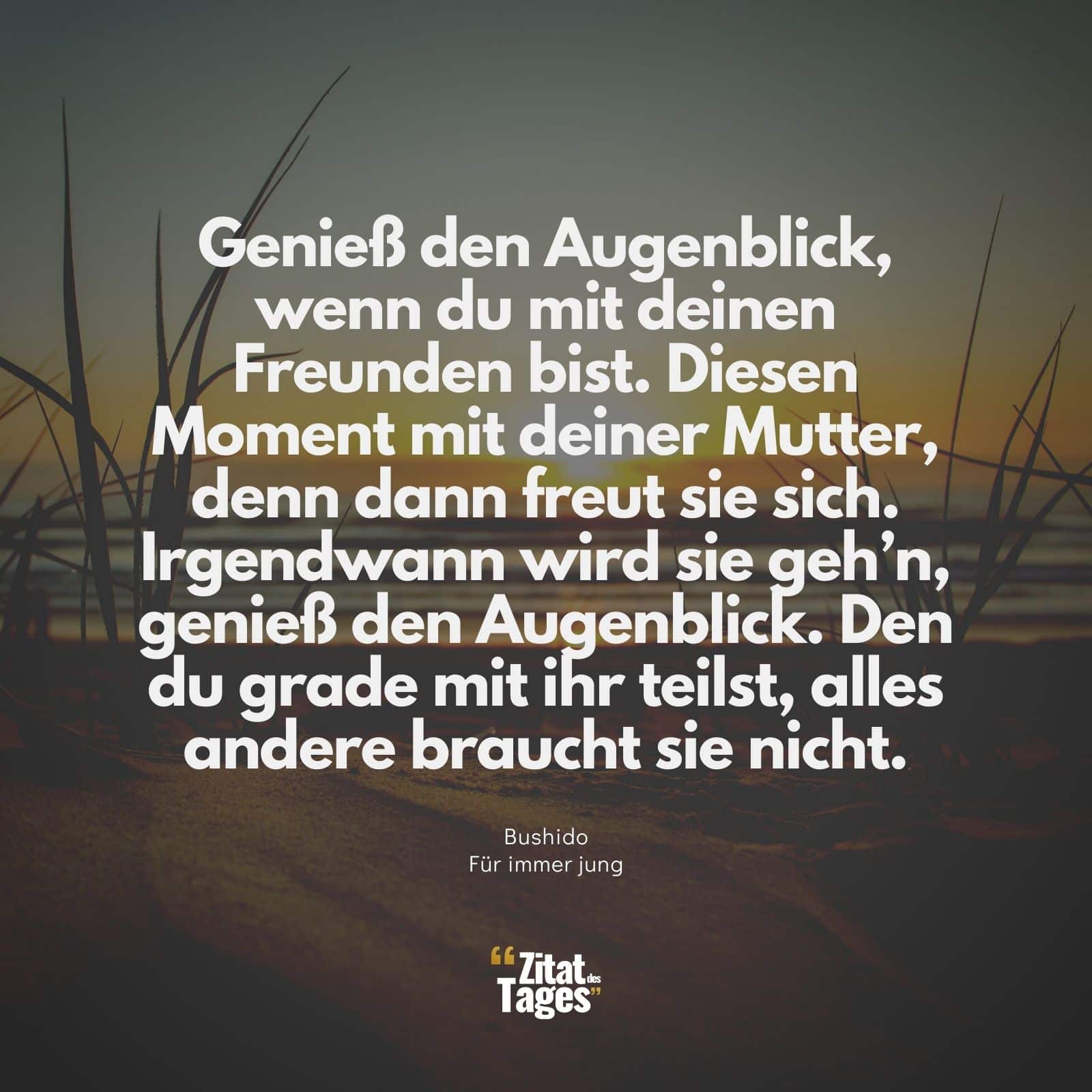 Genieß den Augenblick, wenn du mit deinen Freunden bist. Diesen Moment mit deiner Mutter, denn dann freut sie sich. Irgendwann wird sie geh’n, genieß den Augenblick. Den du grade mit ihr teilst, alles andere braucht sie nicht. - Bushido