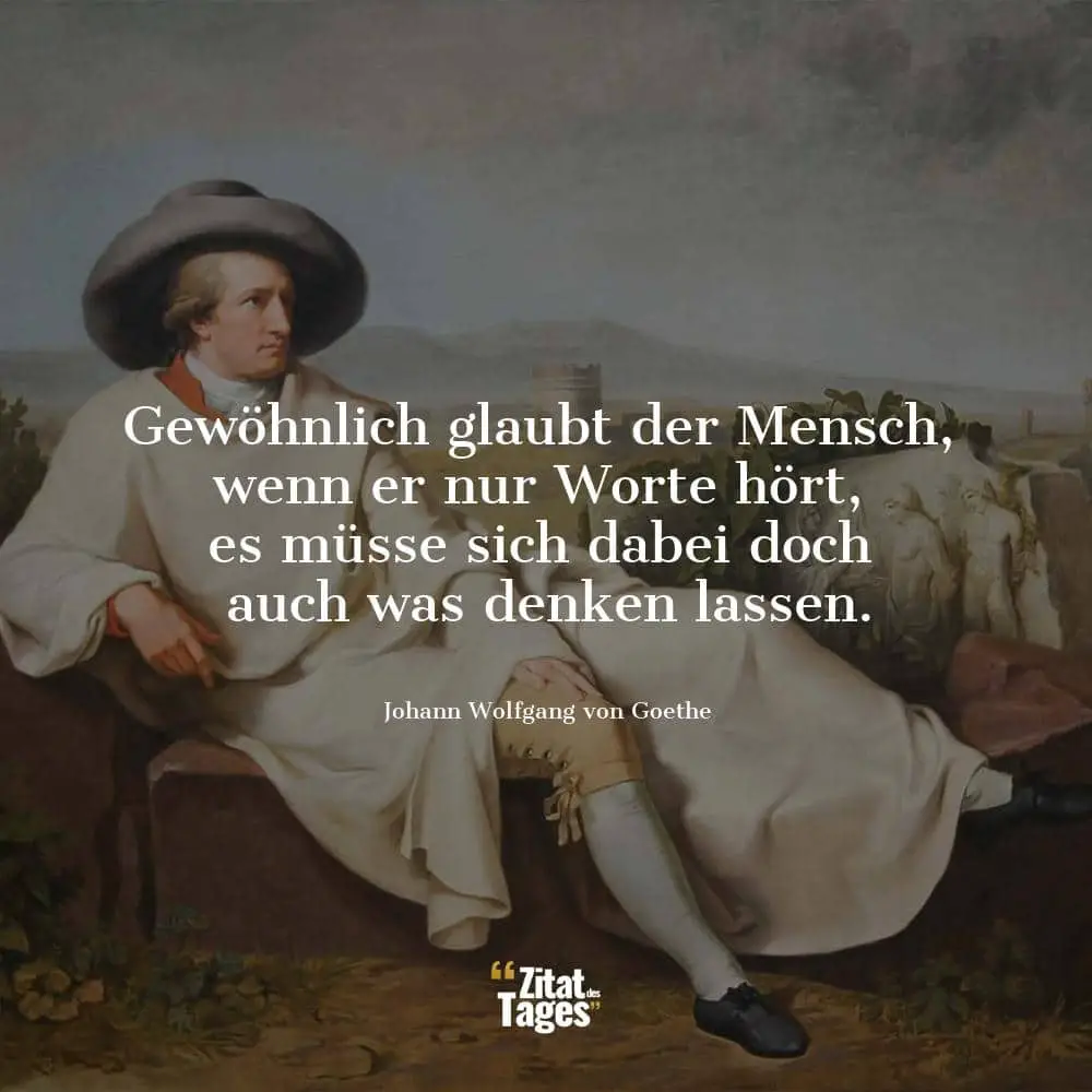 Gewöhnlich glaubt der Mensch, wenn er nur Worte hört, es müsse sich dabei doch auch was denken lassen. - Johann Wolfgang von Goethe