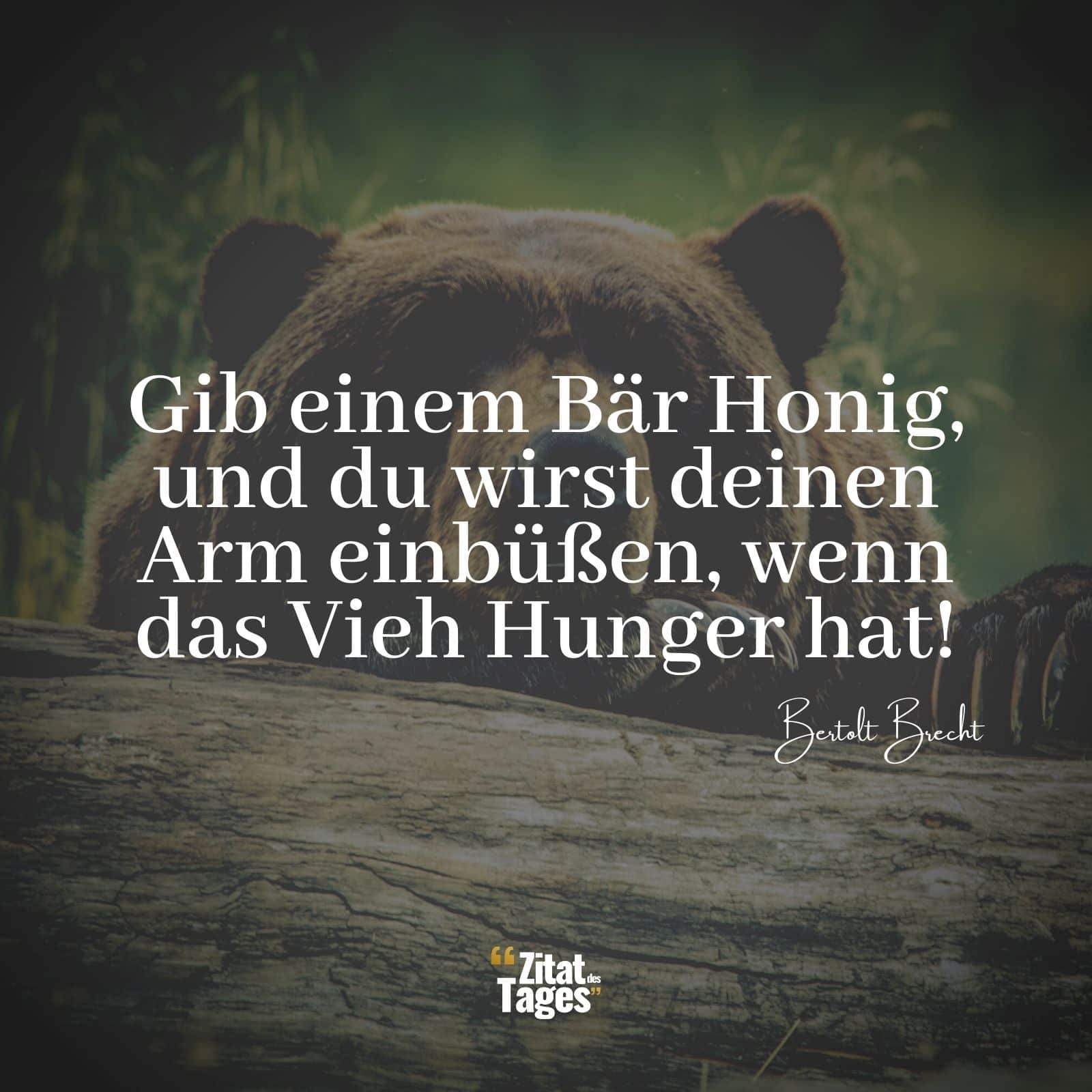Gib einem Bär Honig, und du wirst deinen Arm einbüßen, wenn das Vieh Hunger hat! - Bertolt Brecht