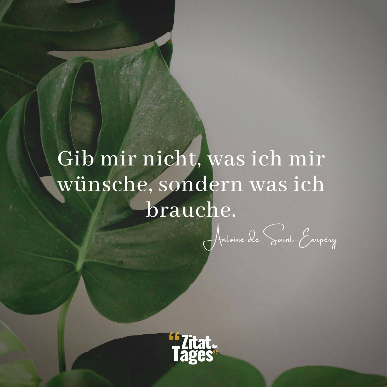 Gib mir nicht, was ich mir wünsche, sondern was ich brauche. - Antoine de Saint-Exupéry