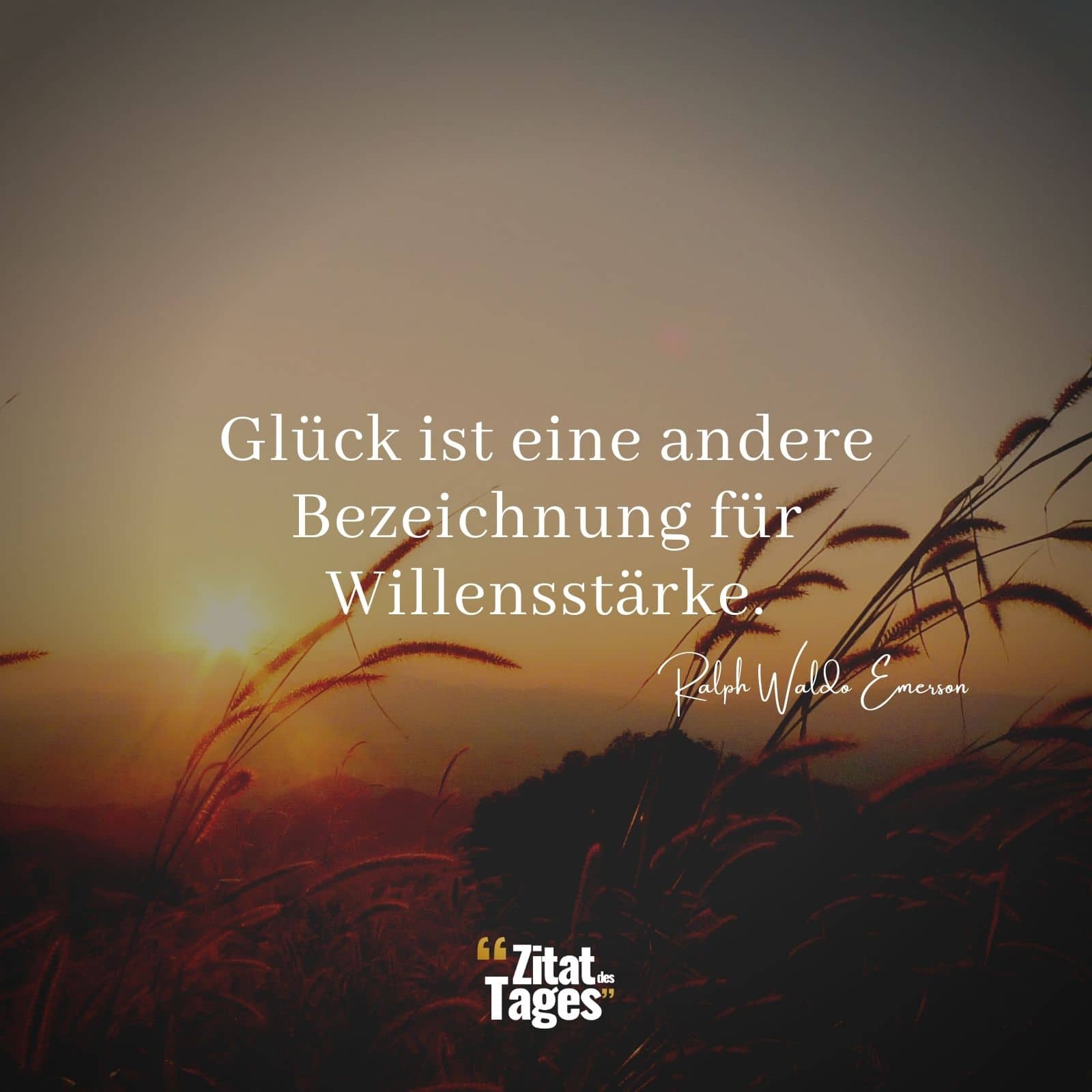 Glück ist eine andere Bezeichnung für Willensstärke. - Ralph Waldo Emerson