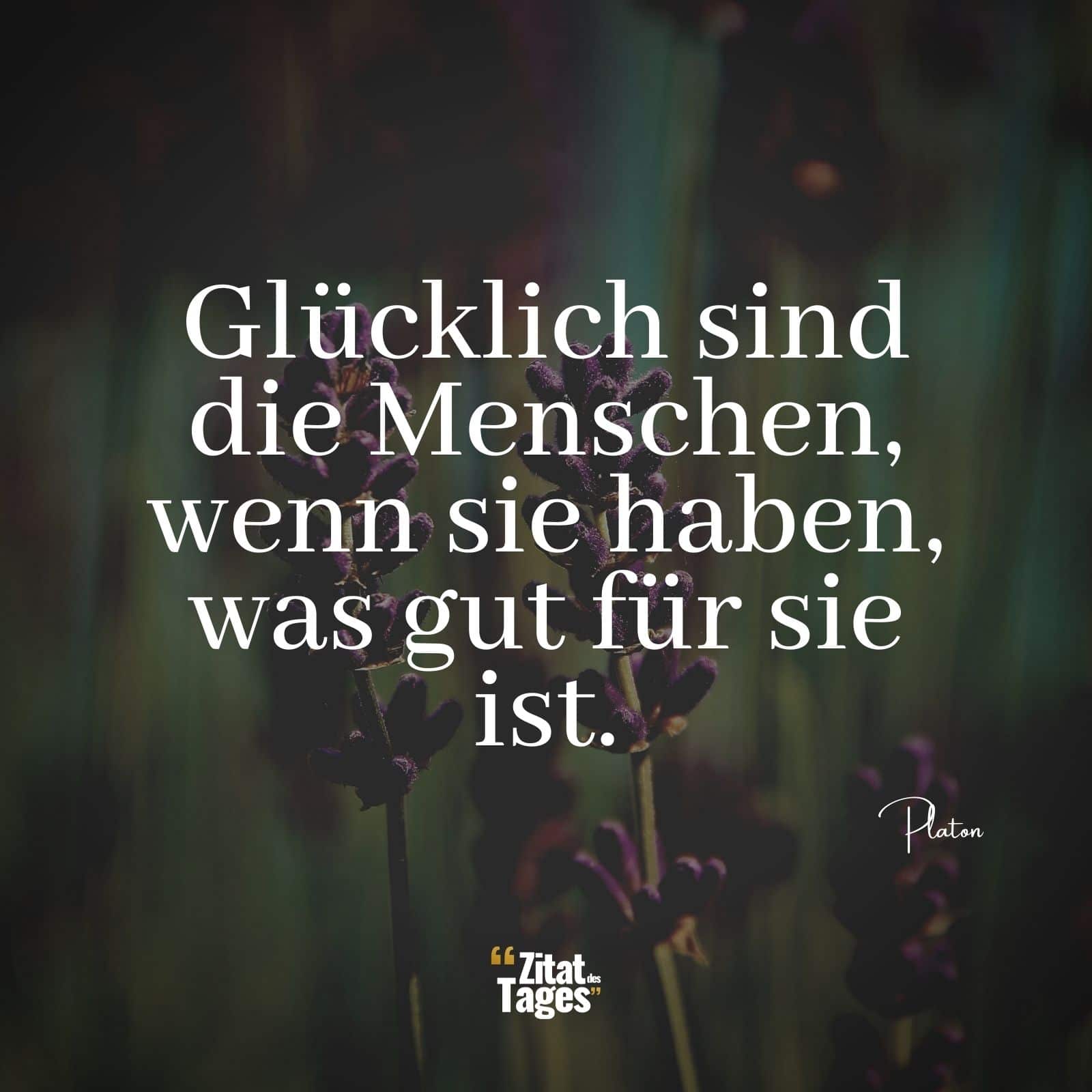 Glücklich sind die Menschen, wenn sie haben, was gut für sie ist. - Platon