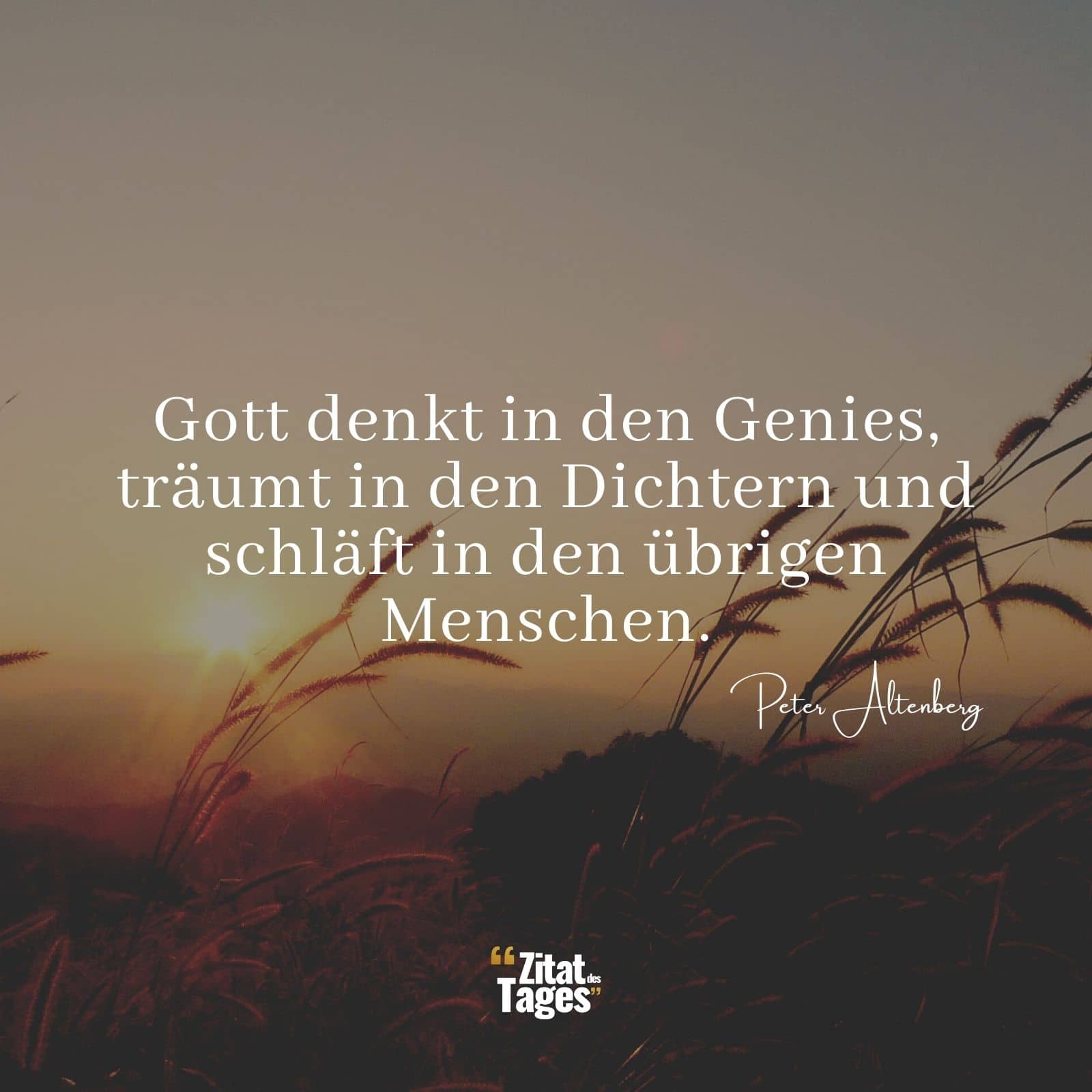 Gott denkt in den Genies, träumt in den Dichtern und schläft in den übrigen Menschen. - Peter Altenberg