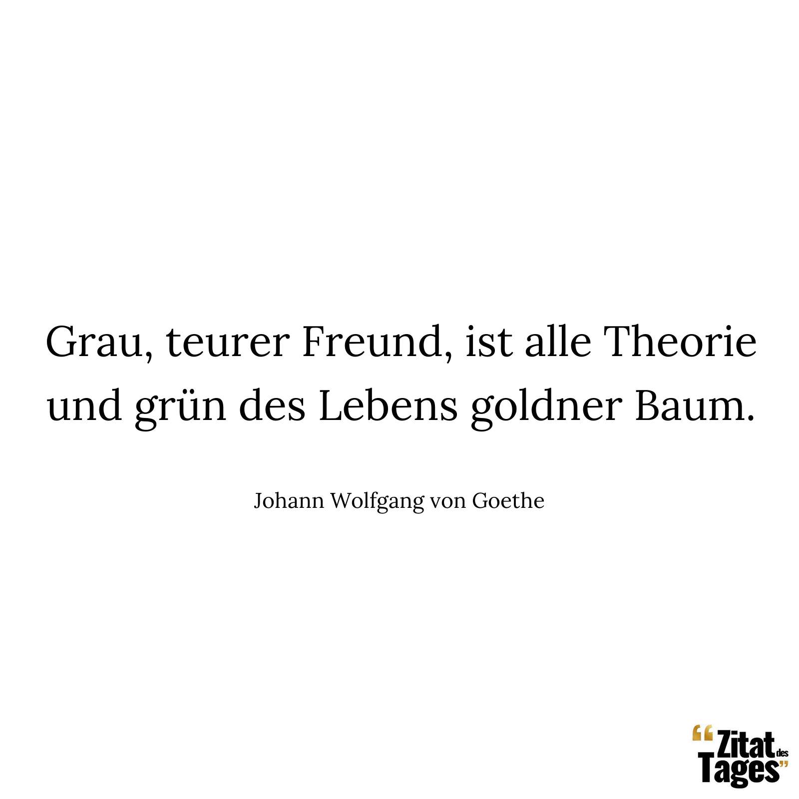 Grau, teurer Freund, ist alle Theorie und grün des Lebens goldner Baum. - Johann Wolfgang von Goethe