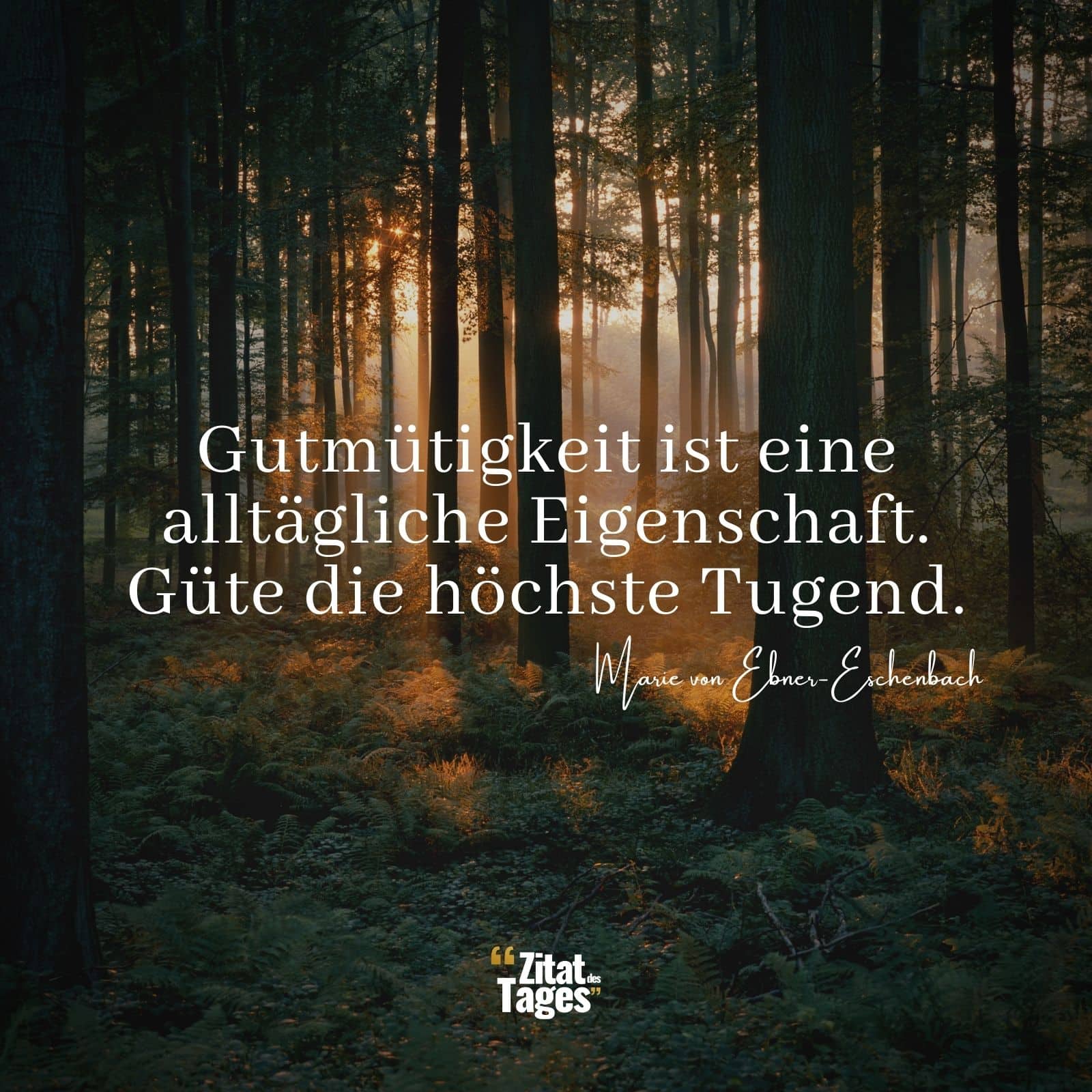 Gutmütigkeit ist eine alltägliche Eigenschaft. Güte die höchste Tugend. - Marie von Ebner-Eschenbach