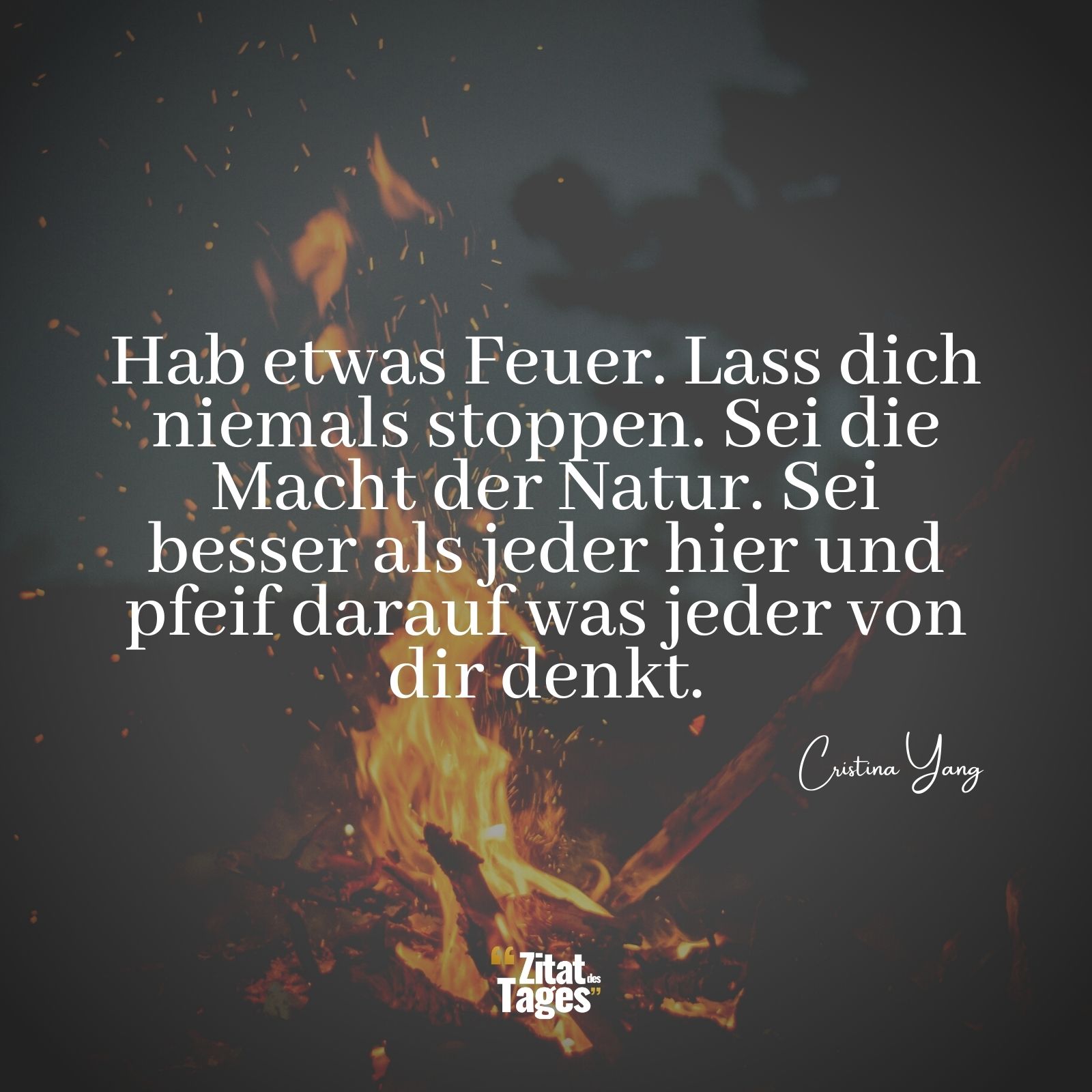 Hab etwas Feuer. Lass dich niemals stoppen. Sei die Macht der Natur. Sei besser als jeder hier und pfeif darauf was jeder von dir denkt. - Cristina Yang