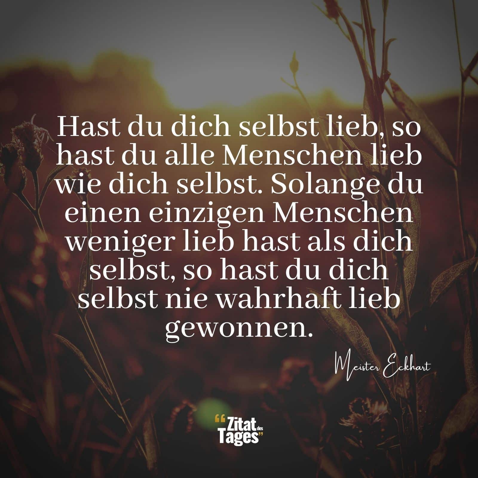 Hast du dich selbst lieb, so hast du alle Menschen lieb wie dich selbst. Solange du einen einzigen Menschen weniger lieb hast als dich selbst, so hast du dich selbst nie wahrhaft lieb gewonnen. - Meister Eckhart