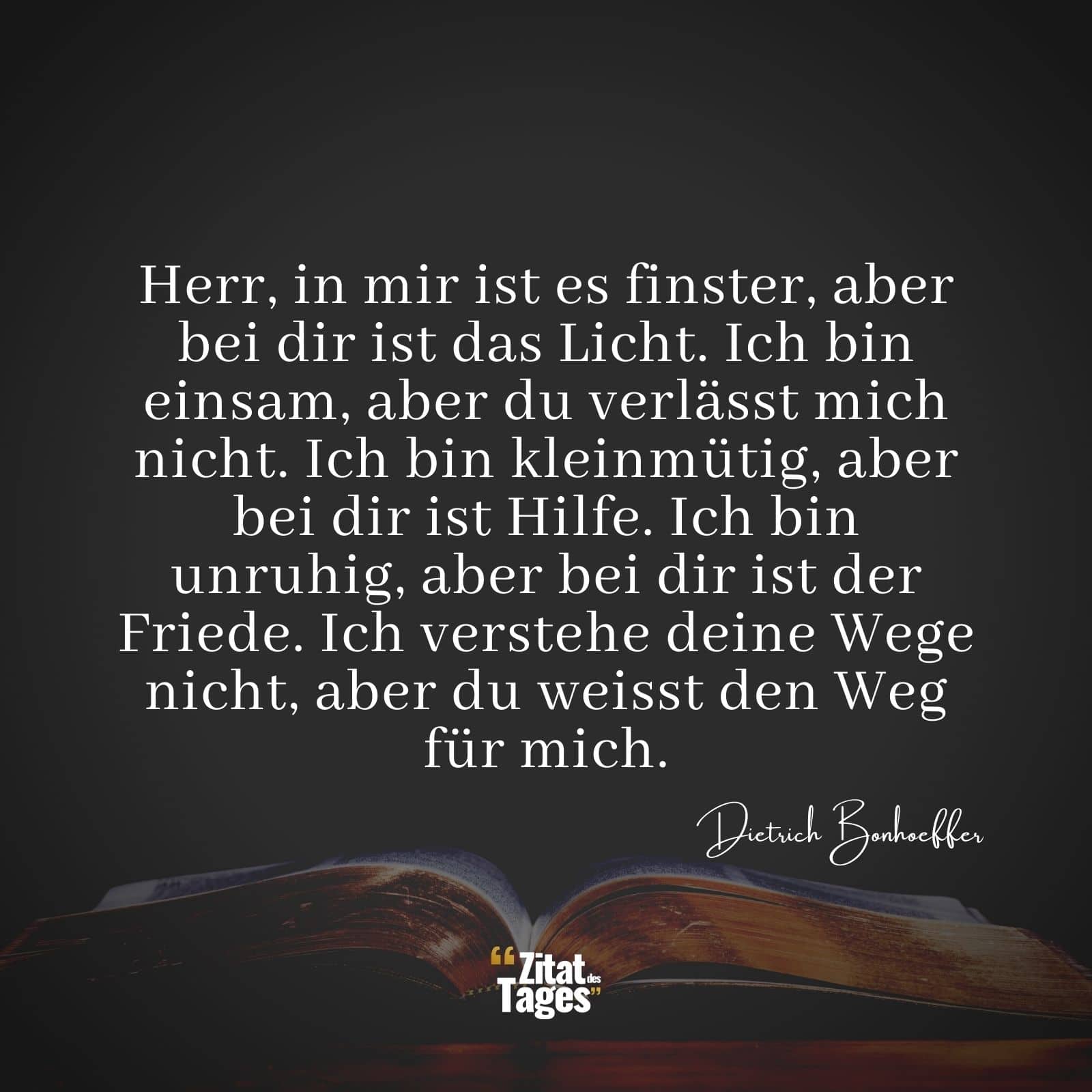 Herr, in mir ist es finster, aber bei dir ist das Licht. Ich bin einsam, aber du verlässt mich nicht. Ich bin kleinmütig, aber bei dir ist Hilfe. Ich bin unruhig, aber bei dir ist der Friede. Ich verstehe deine Wege nicht, aber du weisst den Weg für mich. - Dietrich Bonhoeffer