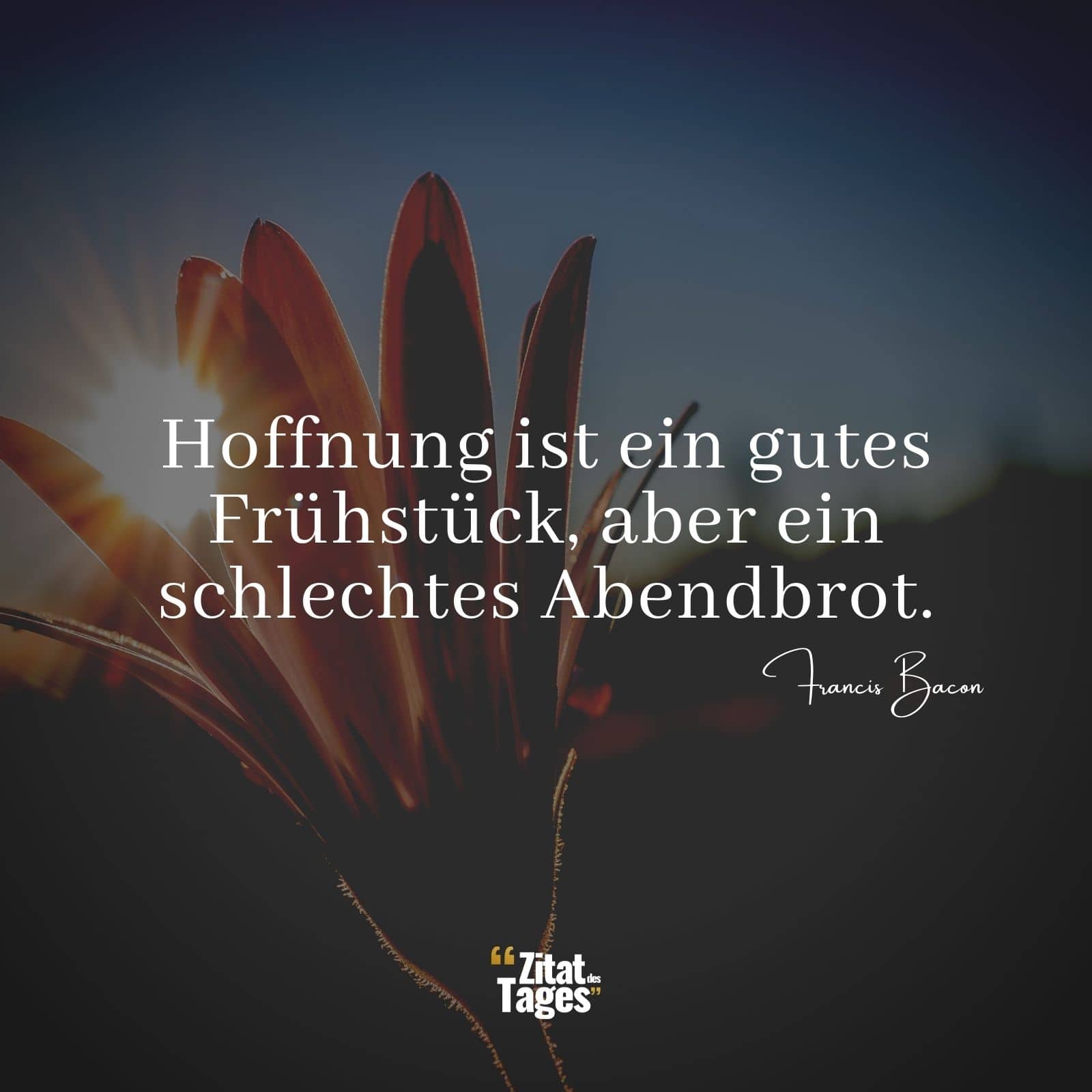 Hoffnung ist ein gutes Frühstück, aber ein schlechtes Abendbrot. - Francis Bacon