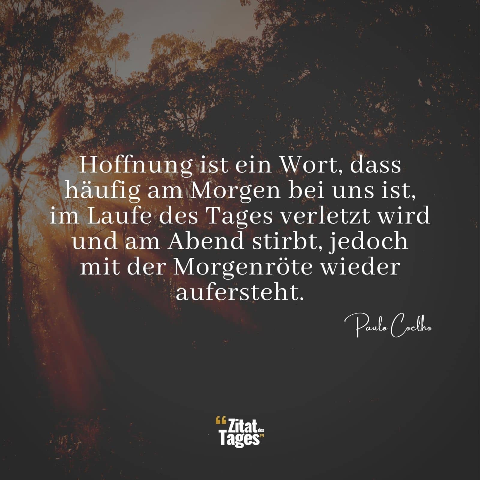 Hoffnung ist ein Wort, dass häufig am Morgen bei uns ist, im Laufe des Tages verletzt wird und am Abend stirbt, jedoch mit der Morgenröte wieder aufersteht. - Paulo Coelho