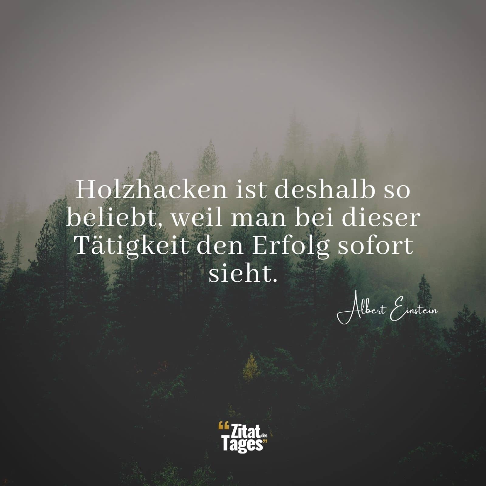 Holzhacken ist deshalb so beliebt, weil man bei dieser Tätigkeit den Erfolg sofort sieht. - Albert Einstein