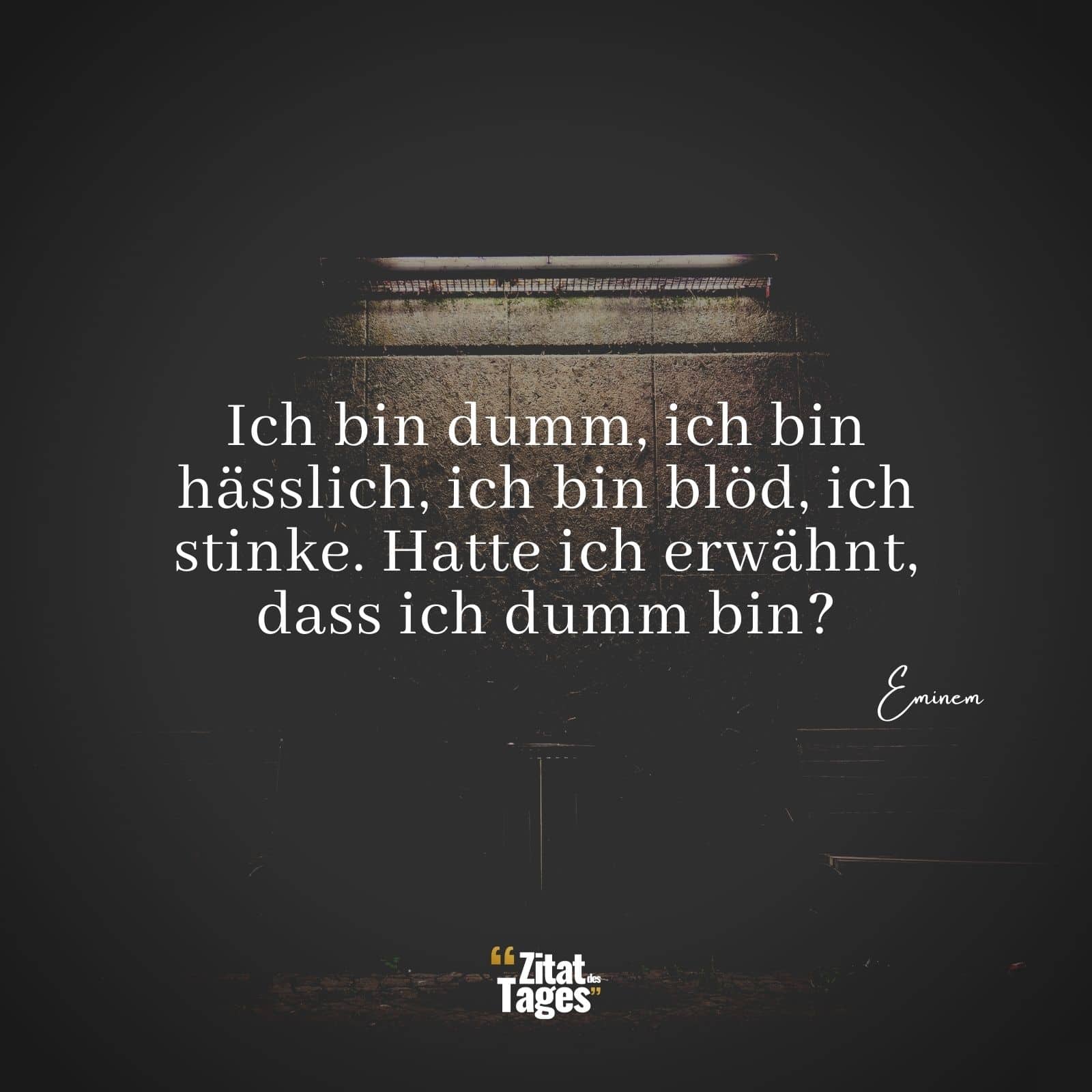 Ich bin dumm, ich bin hässlich, ich bin blöd, ich stinke. Hatte ich erwähnt, dass ich dumm bin? - Eminem