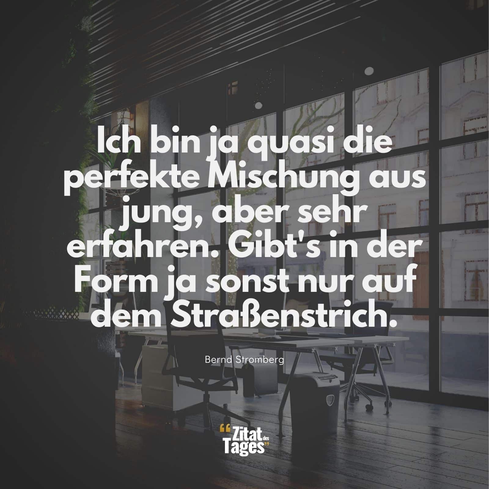 Ich bin ja quasi die perfekte Mischung aus jung, aber sehr erfahren. Gibt's in der Form ja sonst nur auf dem Straßenstrich. - Bernd Stromberg