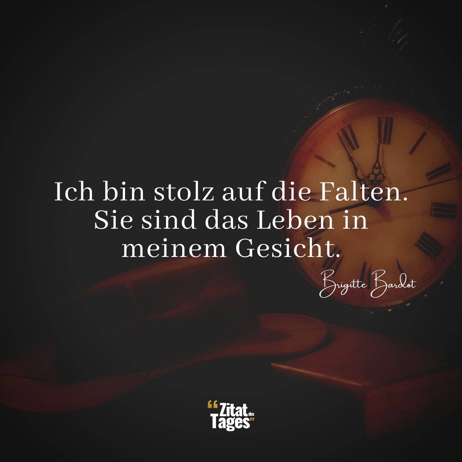 Ich bin stolz auf die Falten. Sie sind das Leben in meinem Gesicht. - Brigitte Bardot